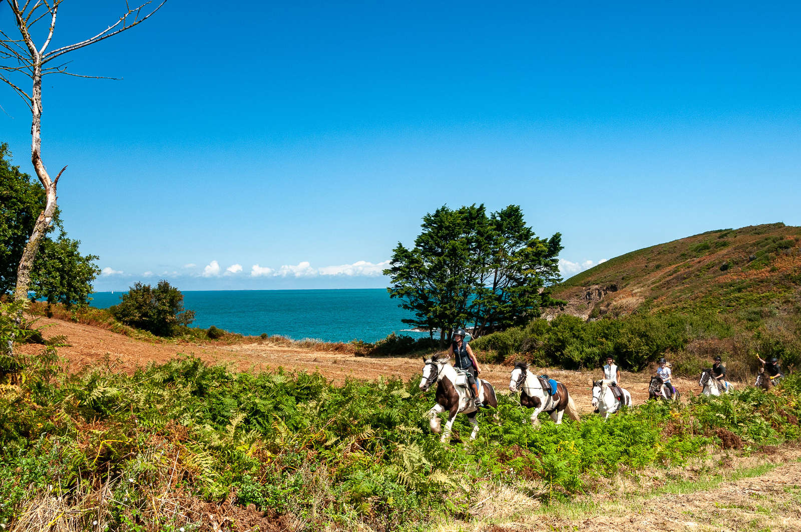 An horseback adventure between Cancale and Mt St Michel Equus Journeys