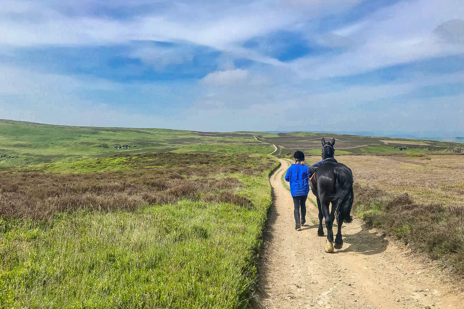 Join a fun, short equestrian break in Wales Equus Journeys