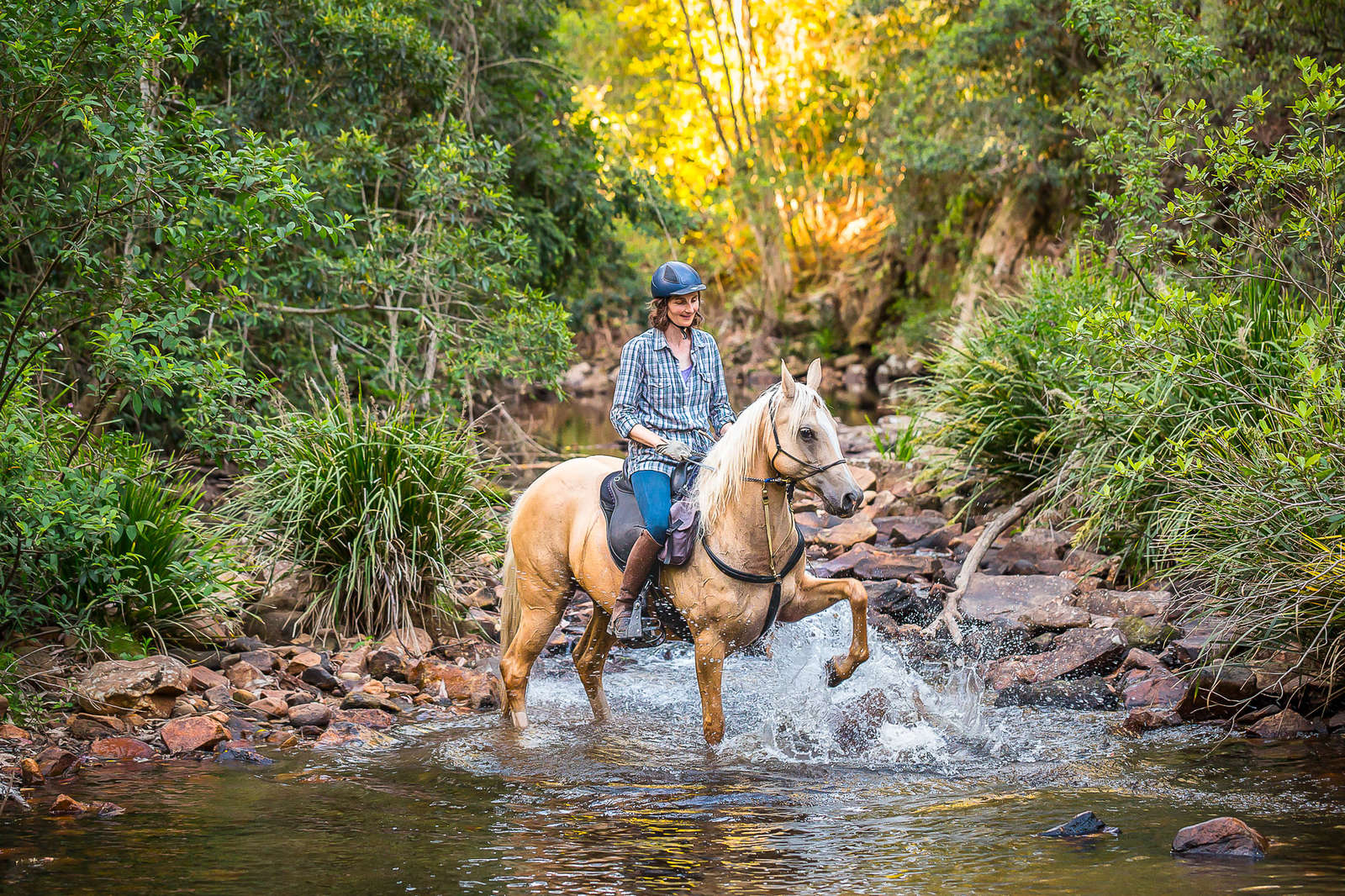 journeys end horse riding