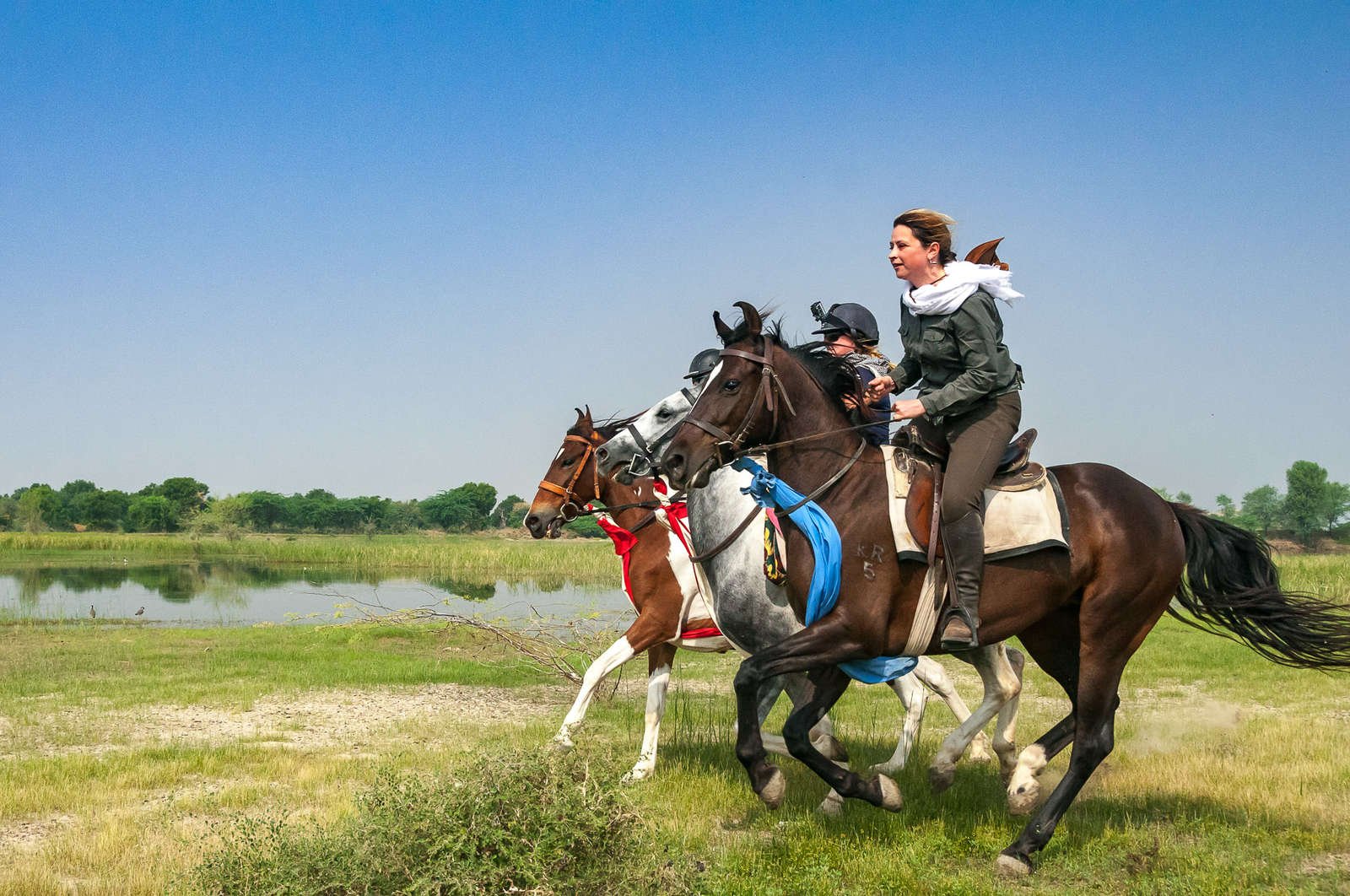 Horseback riding trails in Rajasthan, India Equus Journeys