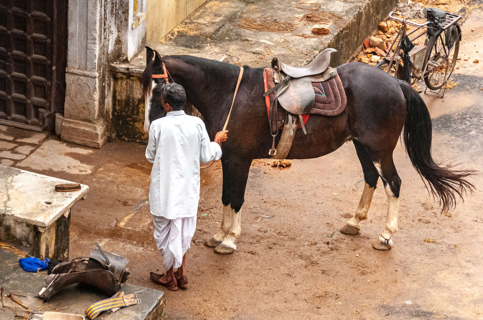 Horseback riding trails in Rajasthan, India Equus Journeys