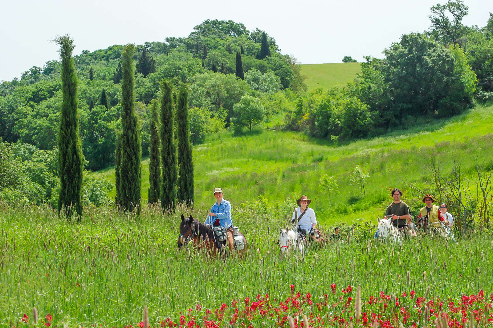 Ride and work on a western riding Tuscan ranch in Italy