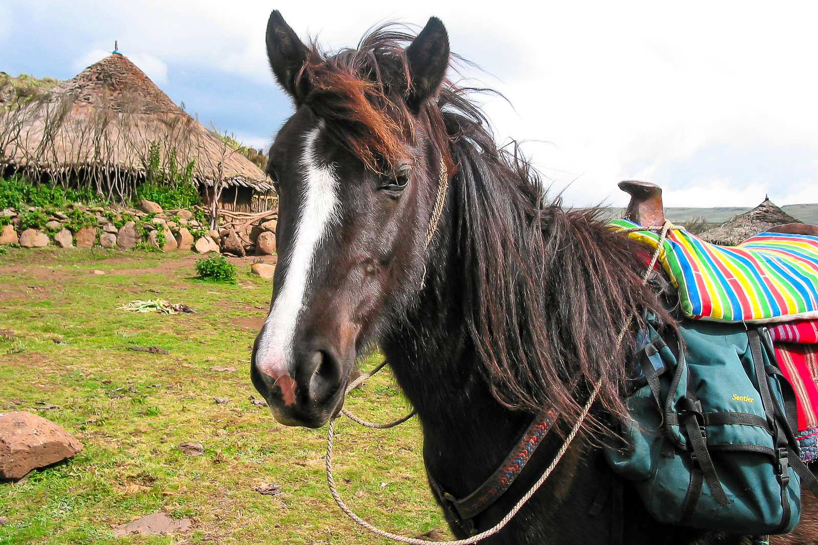 Riding holidays and horseback adventures in Ethiopia Equus Journeys