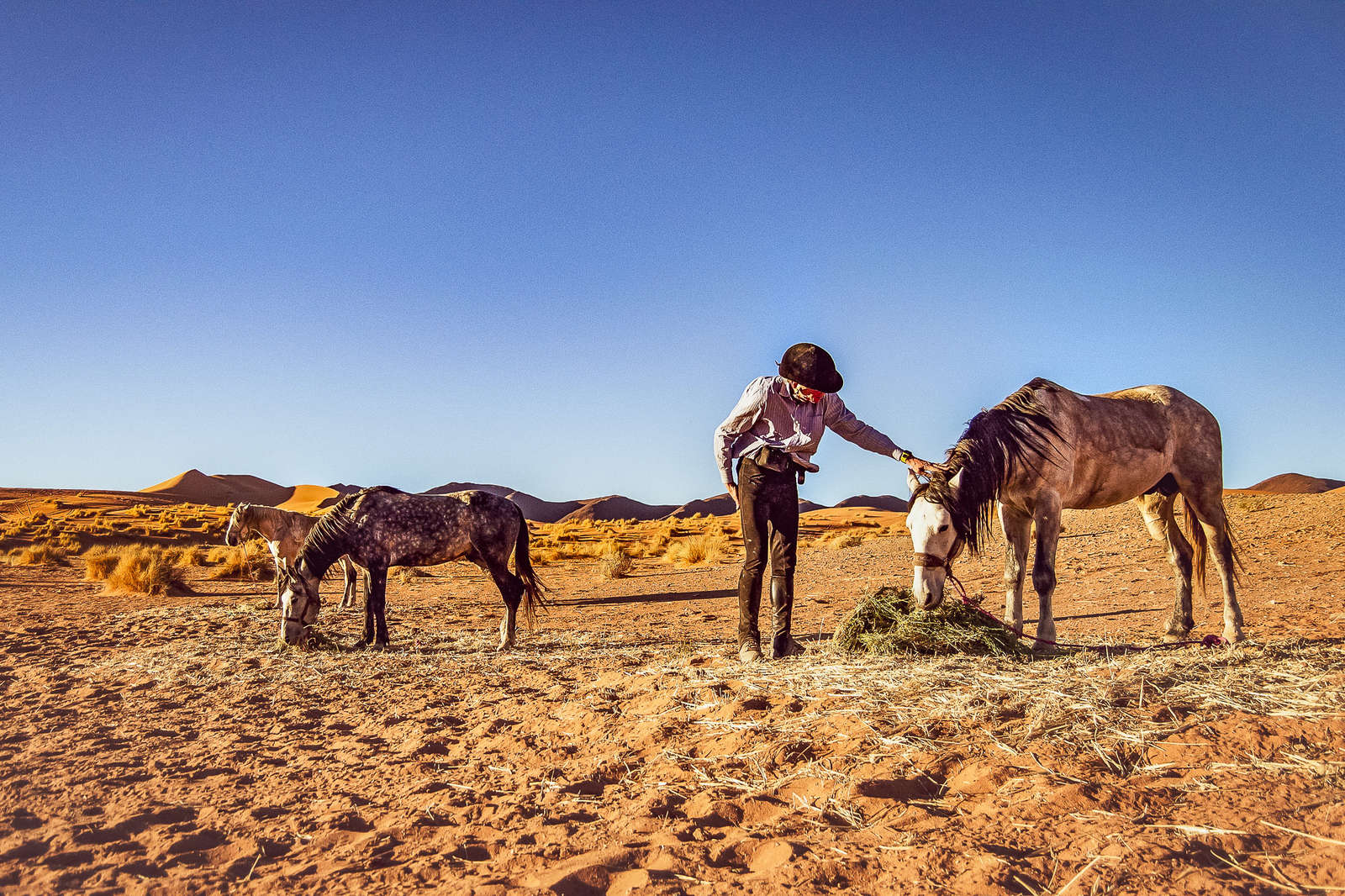 Go on an exciting desert trail ride in the Sahara, Morocco