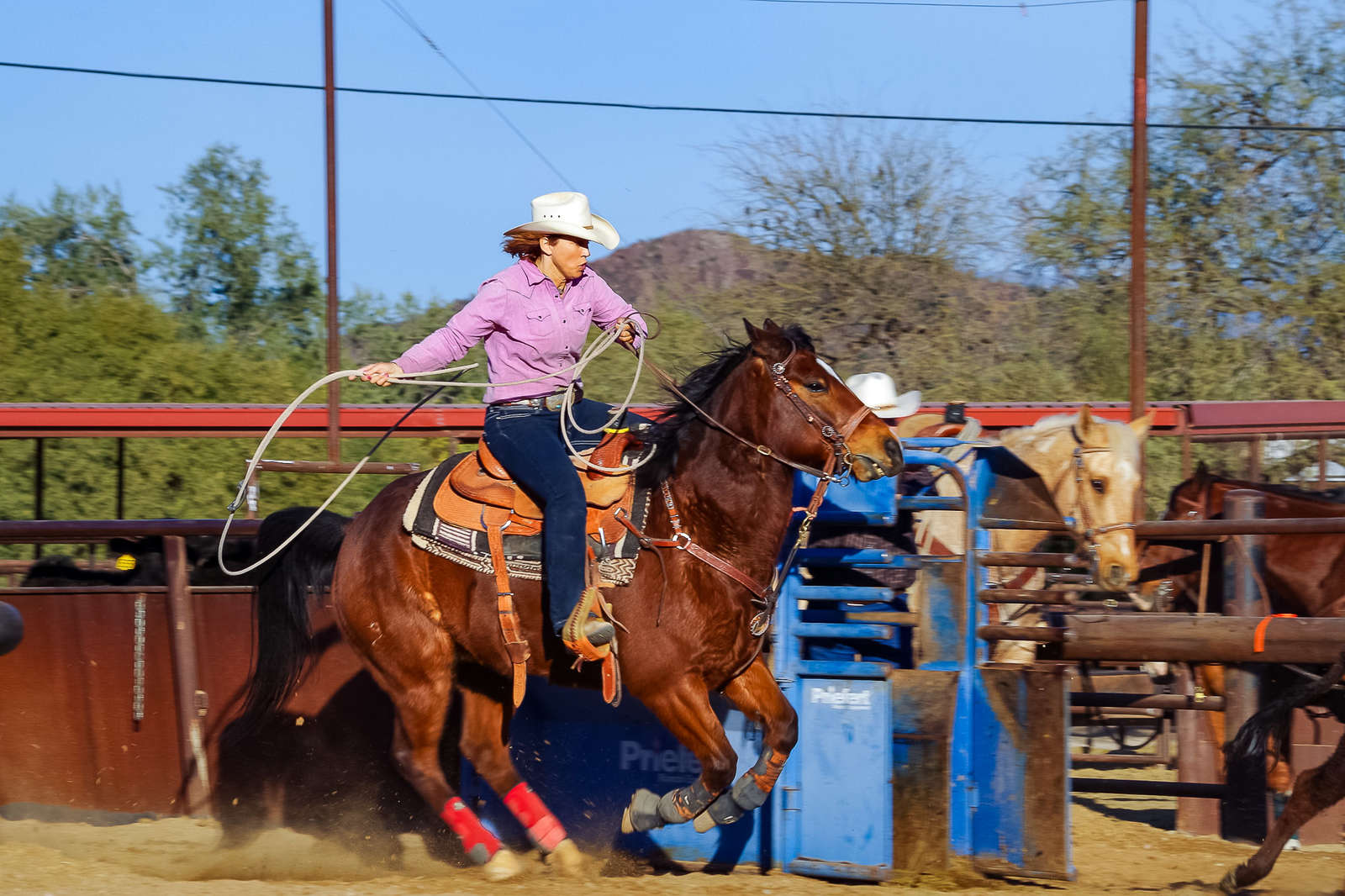 A fun ranch holiday in Arizona, in the United States | Equus Journeys