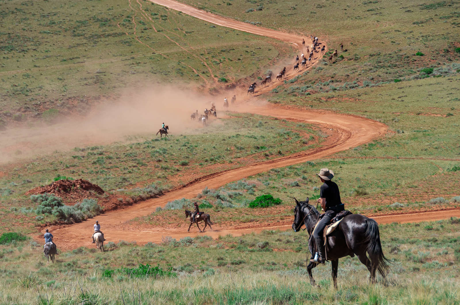 Go on a unique western horse drive in Wyoming and Montana.