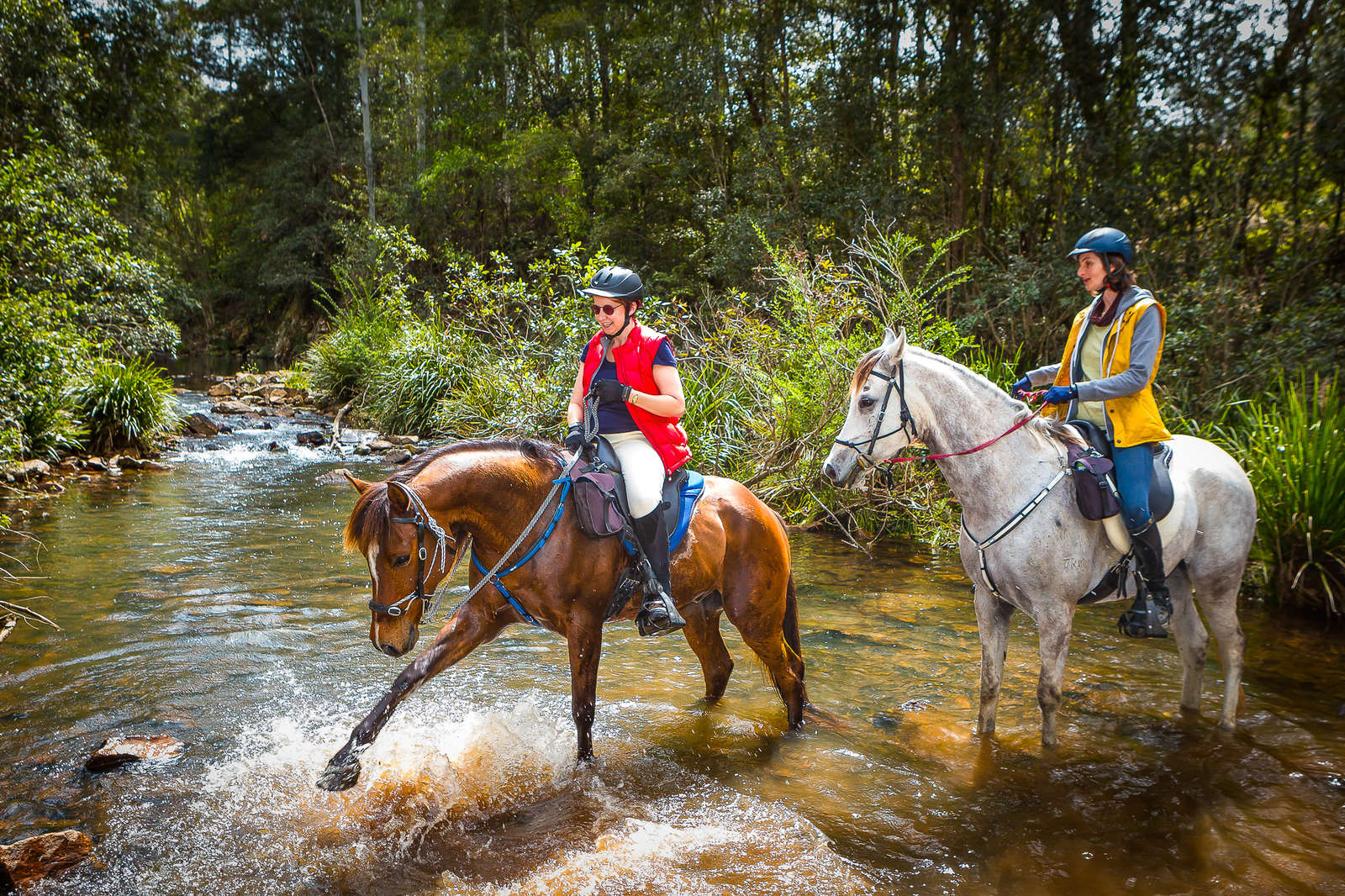 Get ready for a riding holiday in Australia Equus Journeys