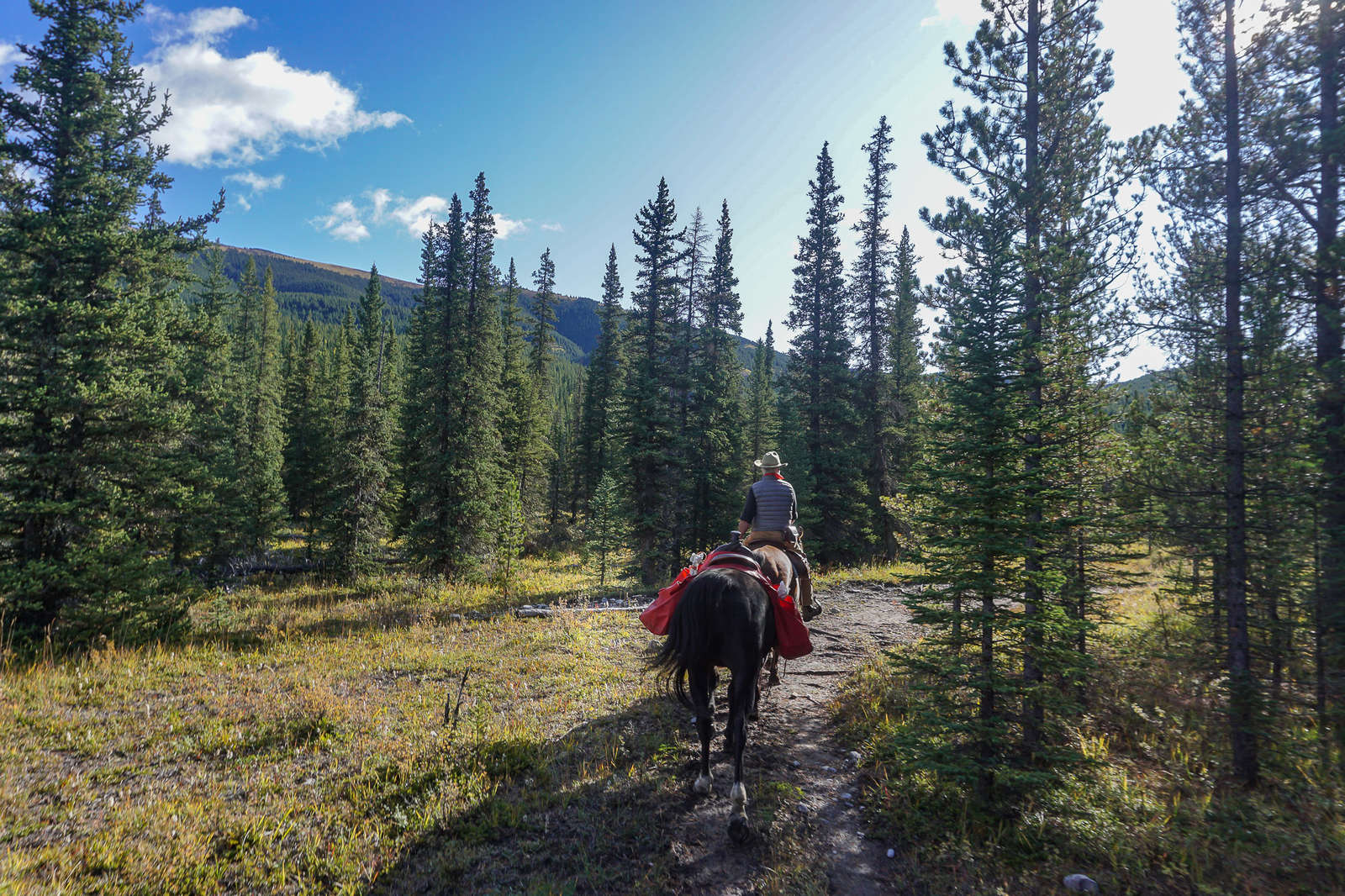 Horseback pack trip expedition in the Kananaskis, Canada Equus Journeys