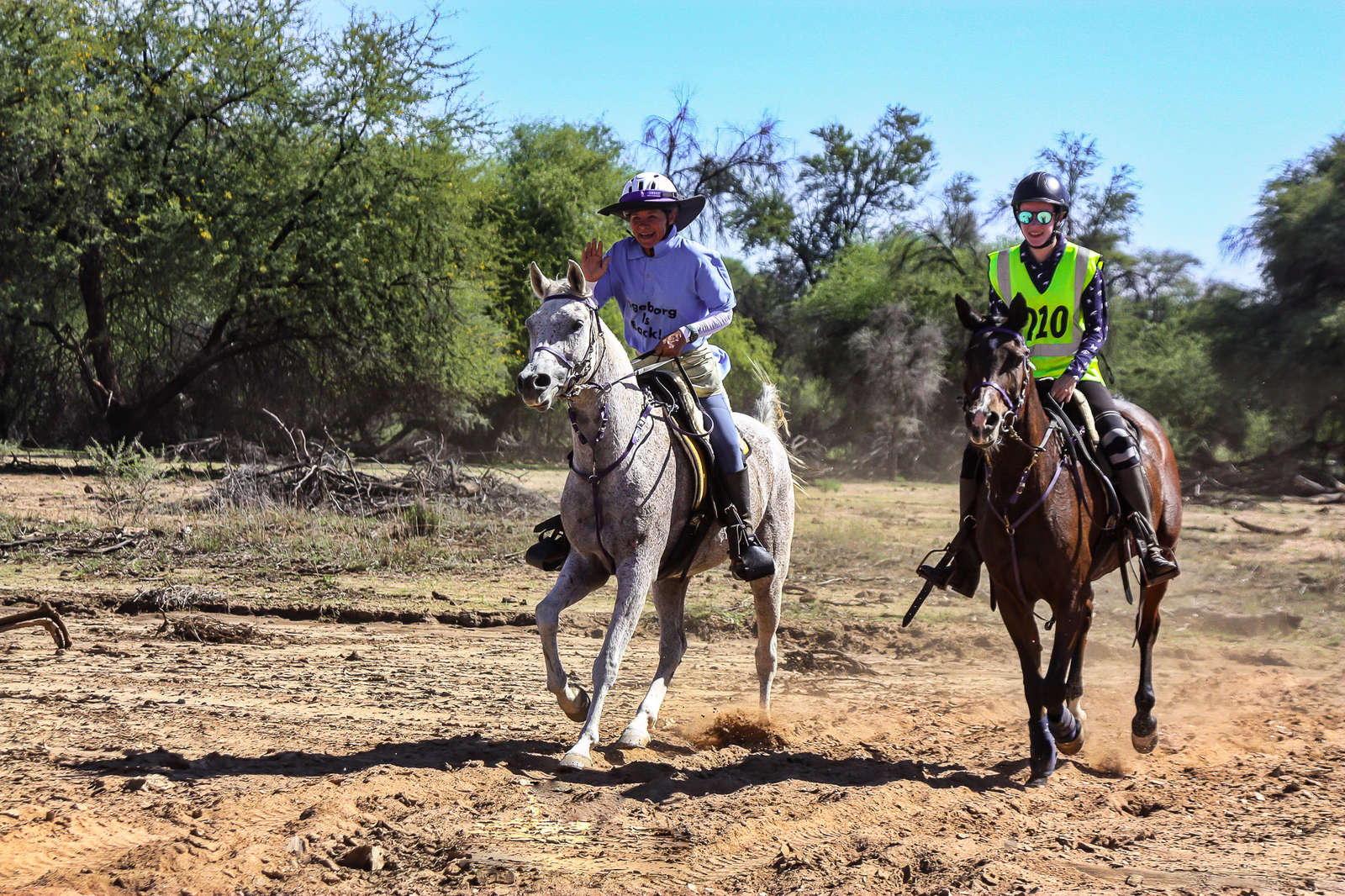 Ride endurance Arabian horses at Okapuka, Namibia Equus Journeys
