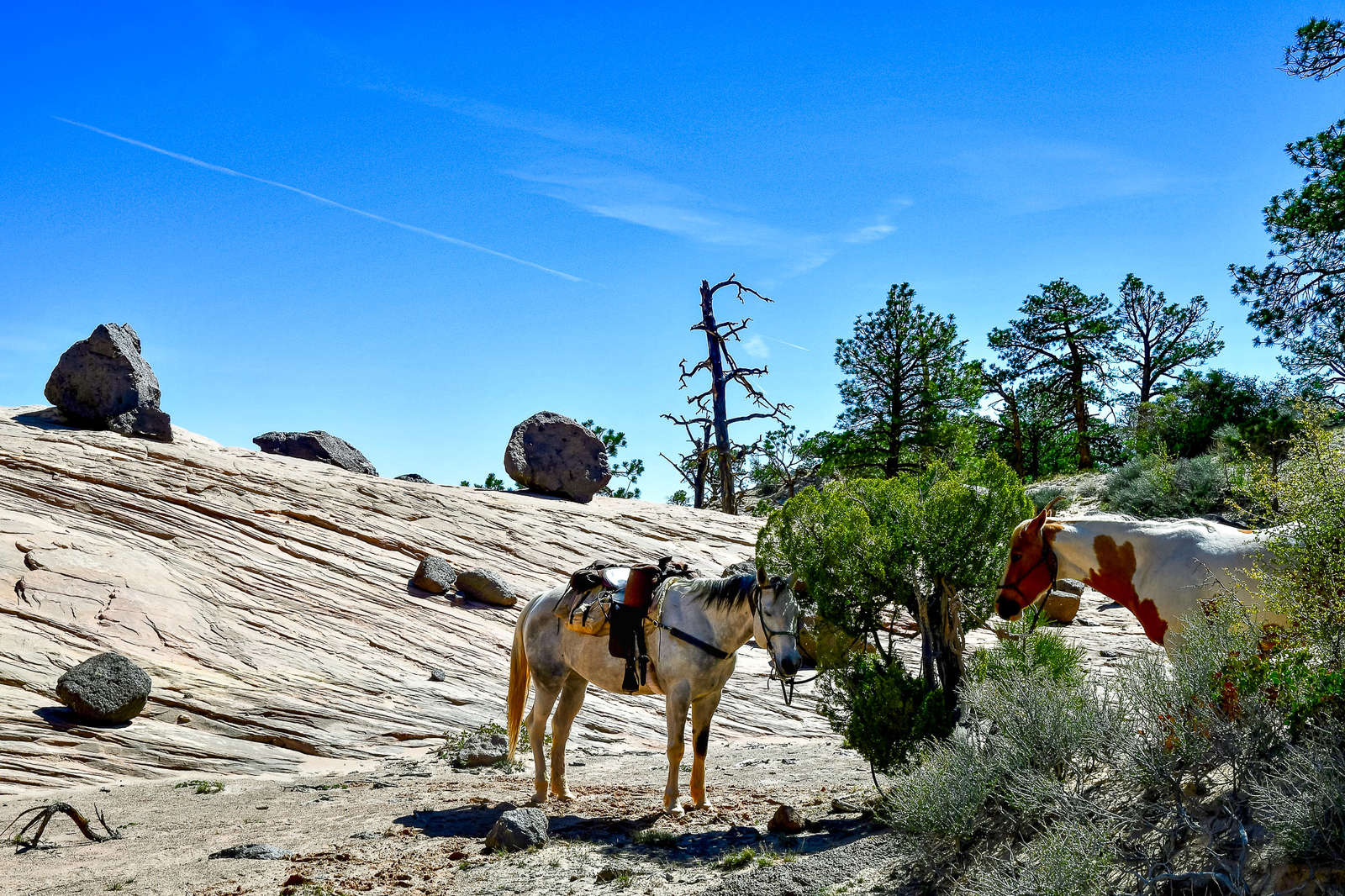 A horseback holiday that takes place in the “Gateway City” to the