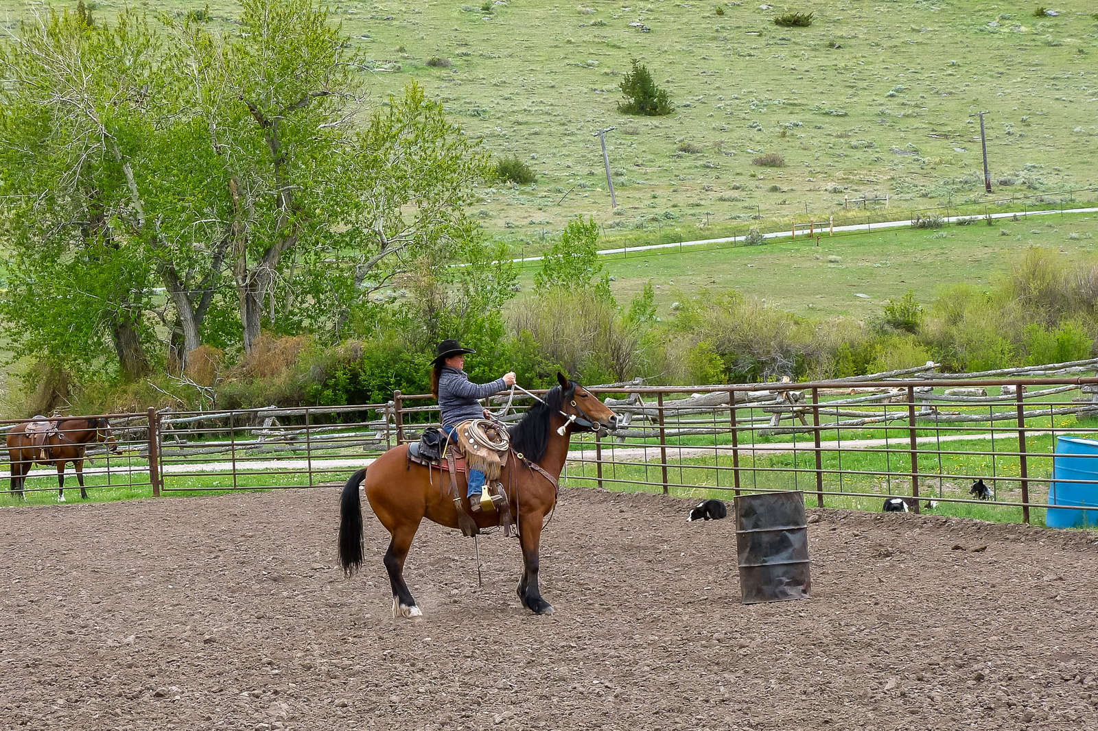 Learn about natural horsemanship on this US guest ranch | Equus Journeys