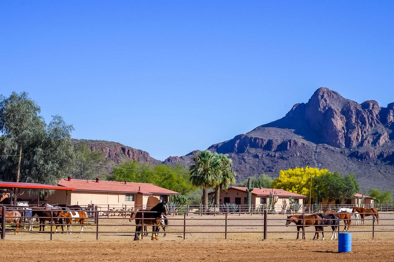 A fun ranch holiday in Arizona, in the United States Equus Journeys