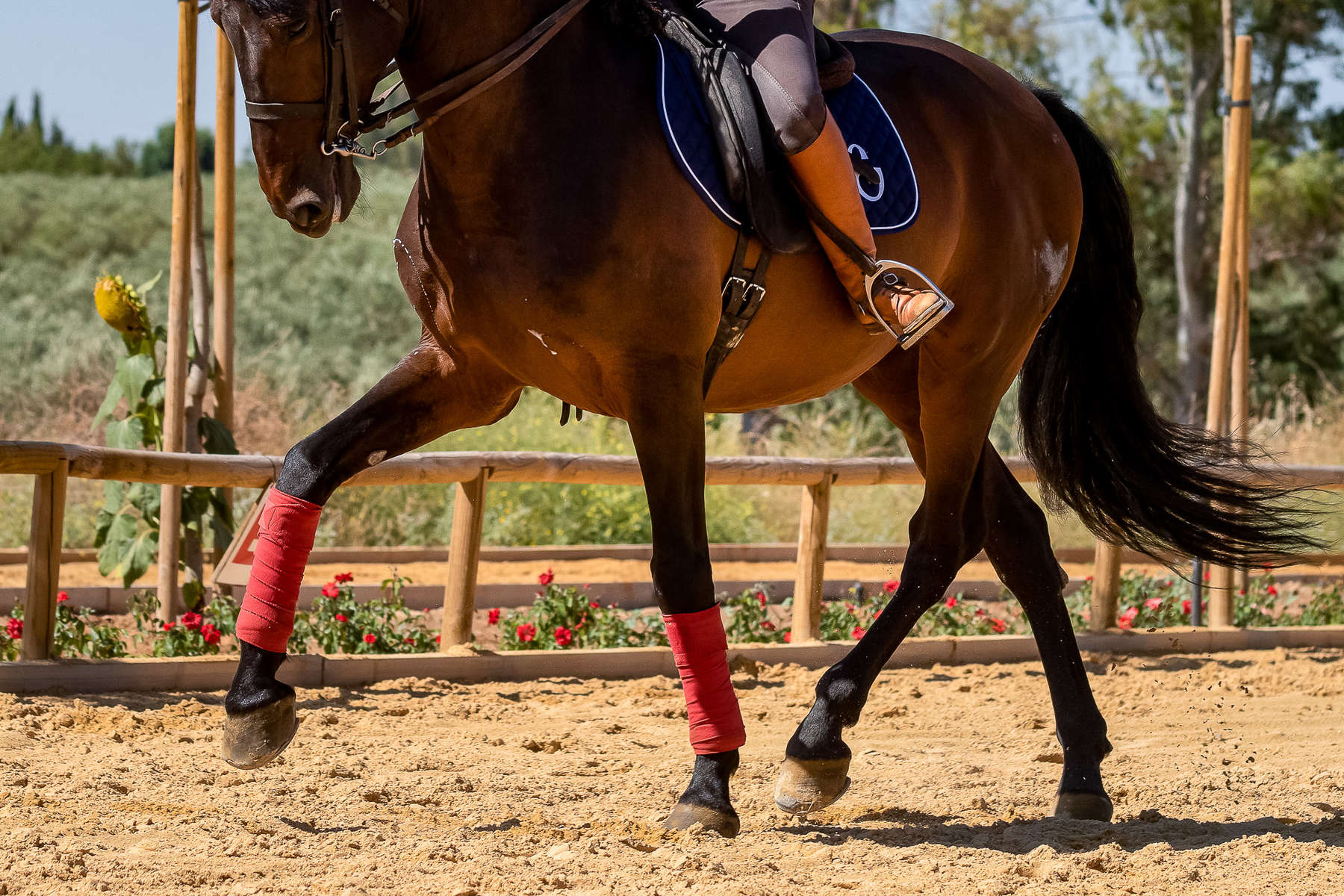 A rider on a dressage riding holiday in Spain