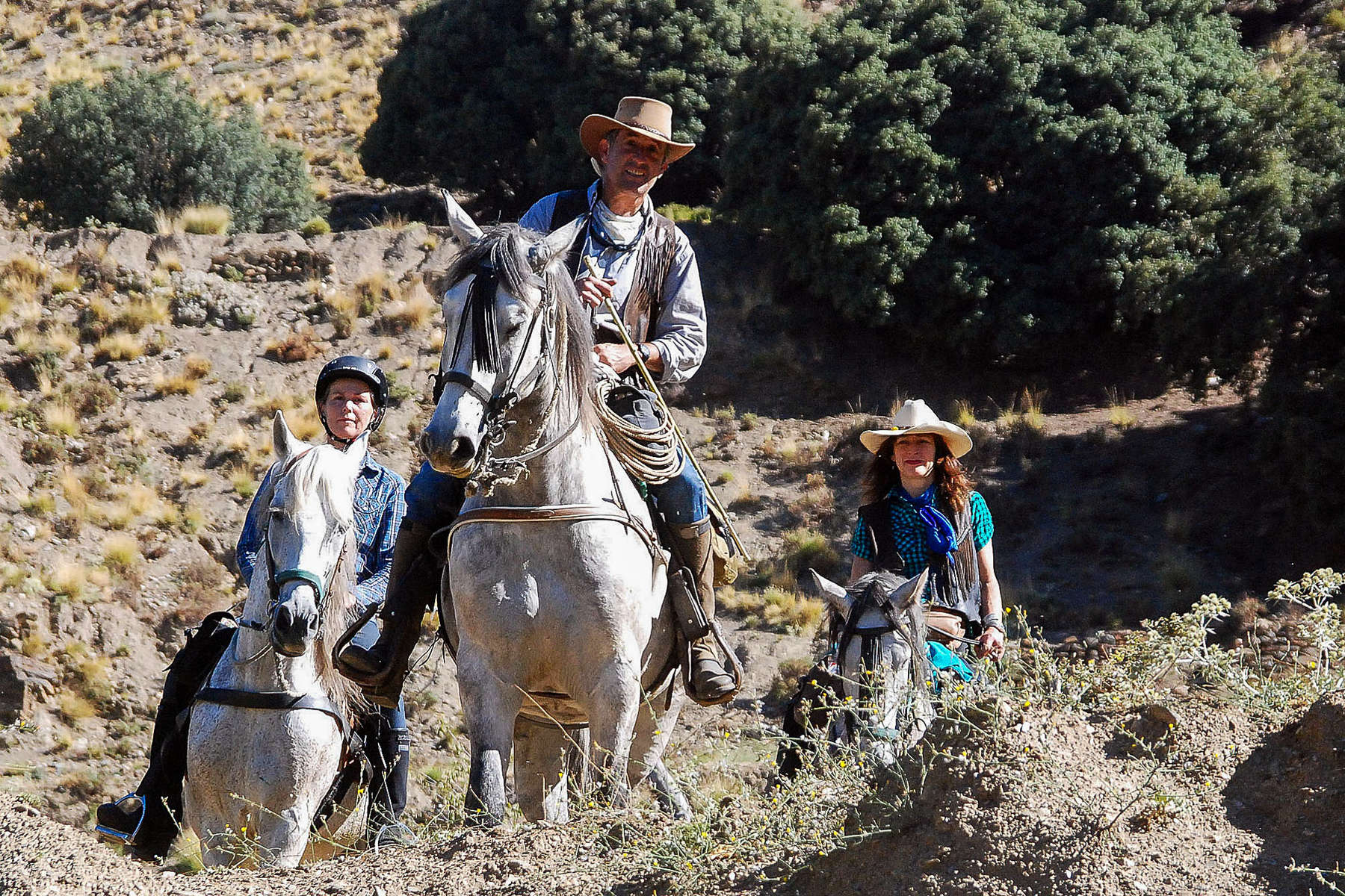 Andalucian horses on trail ride in Sierra Nevada