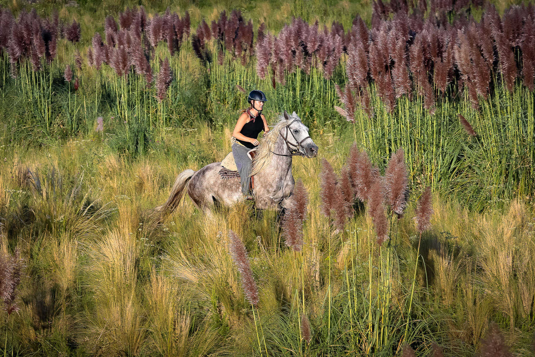 Relax on a riding holiday at Estancia Los Potreros in Argentina Equus Journeys