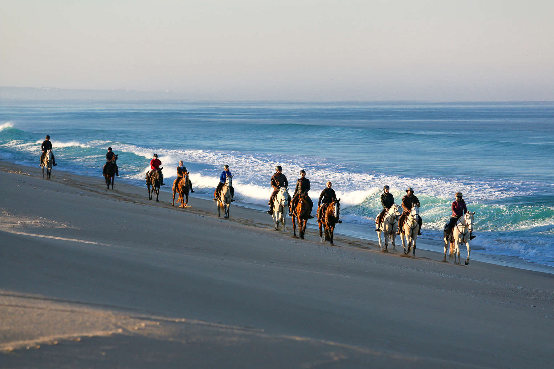 Bottlenose trail ride, Portugal