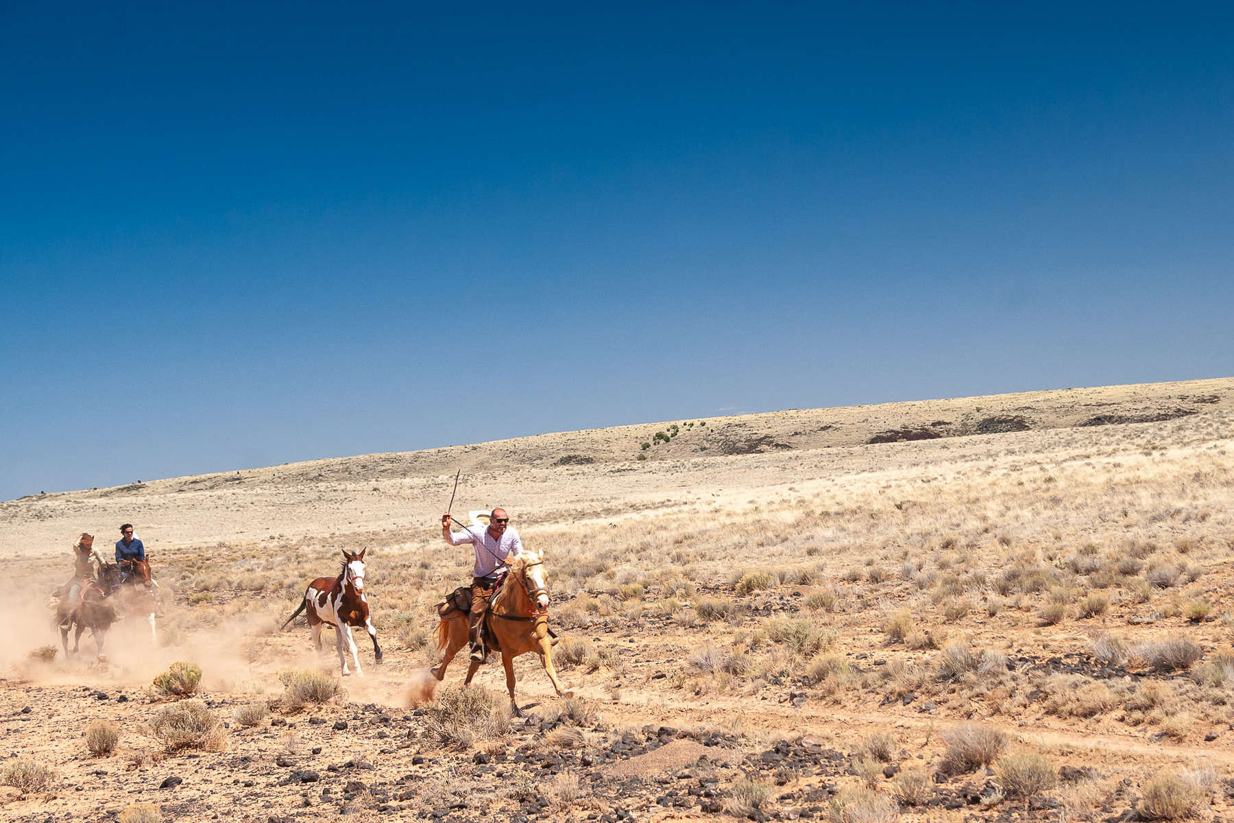 Cowboys and paint horses on a trail ride in USA