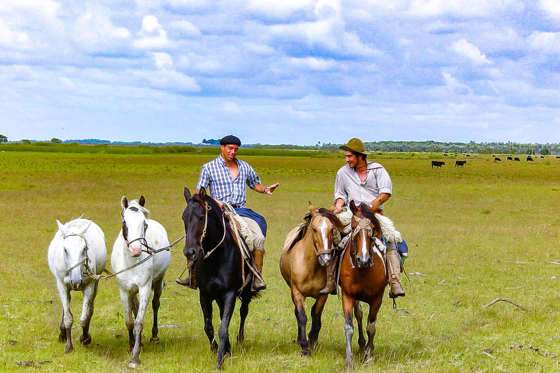 Gauchos on a cattle estancia in South America