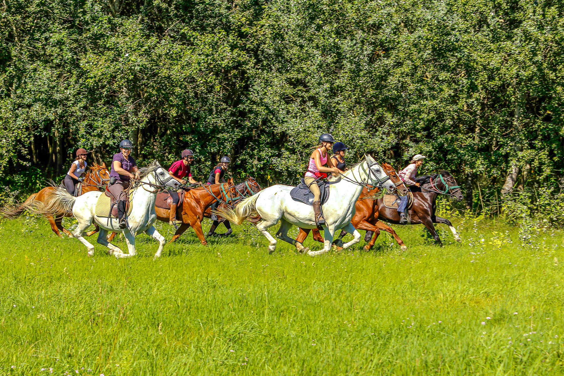 Group of riders cantering across the Puszta Plains