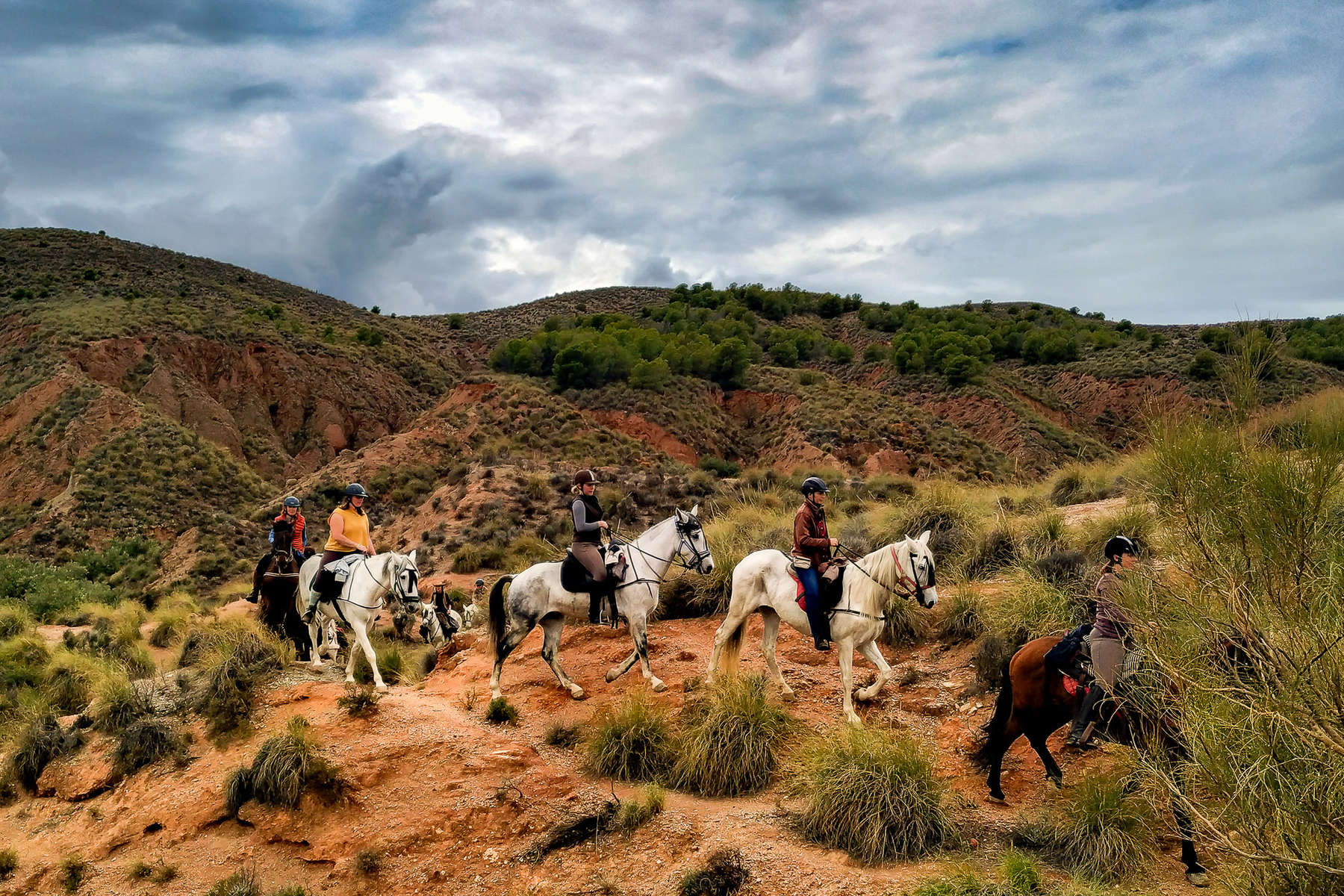 High Peaks of Sierra Nevada trail ride