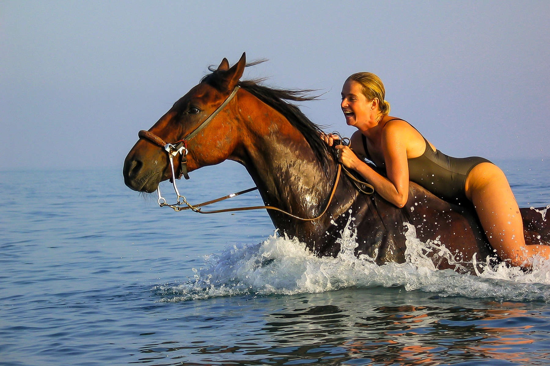 Horse and rider swimming in the sea