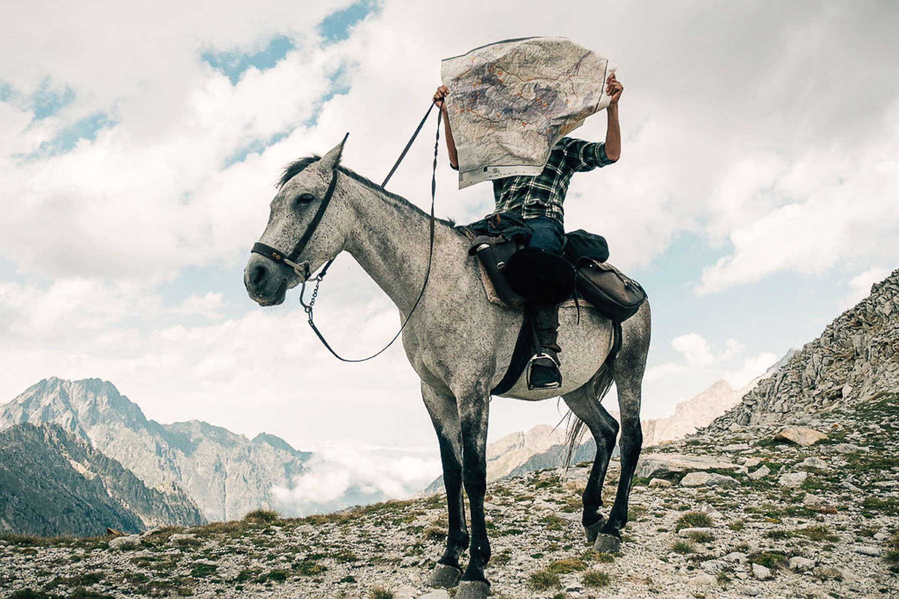 Horse and rider with a map on a trail ride