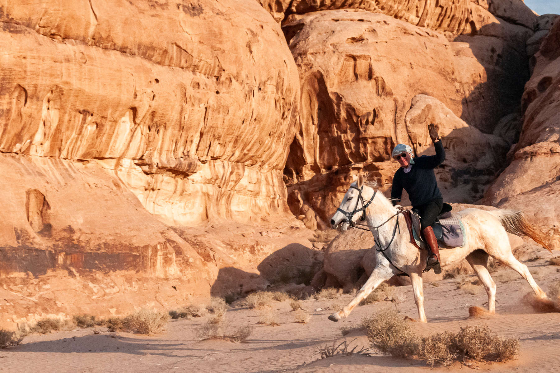 Horse cantering through desert in Jordan