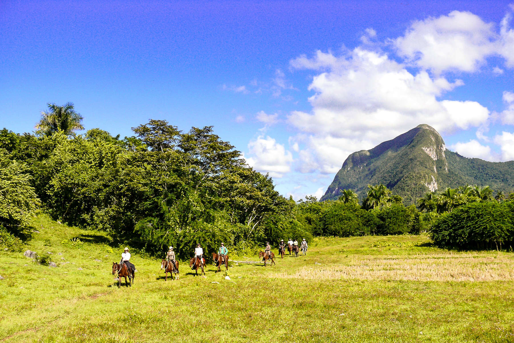 Horseback holiday in Cuba