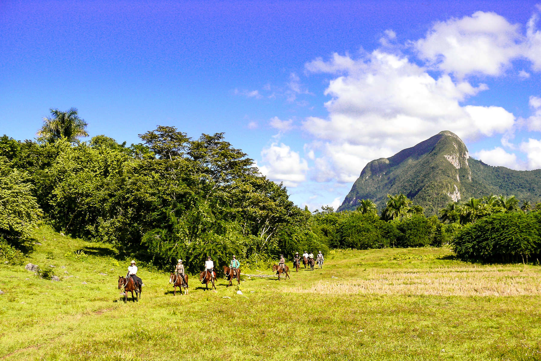 Discover the striking Cuban landscape on horseback Horseback holiday in Cuba