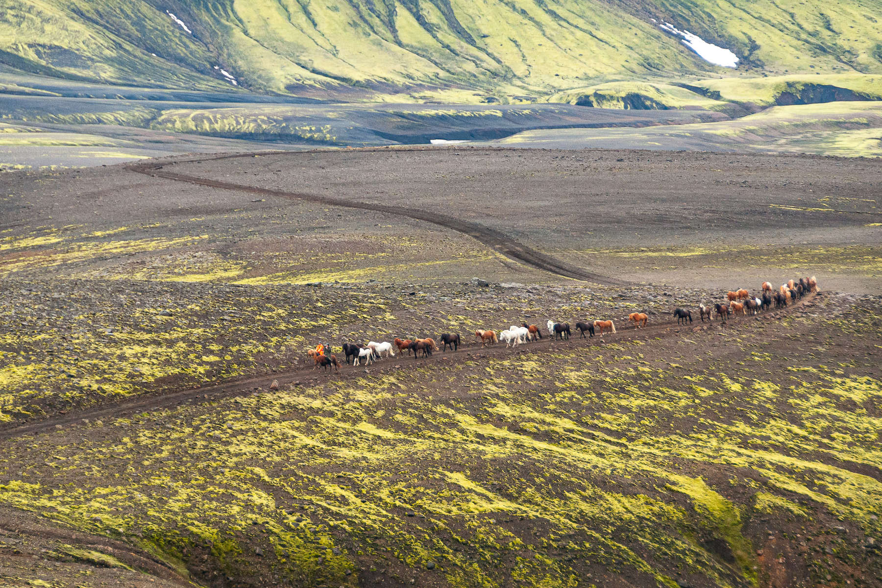 Horseback riders riding in Iceland