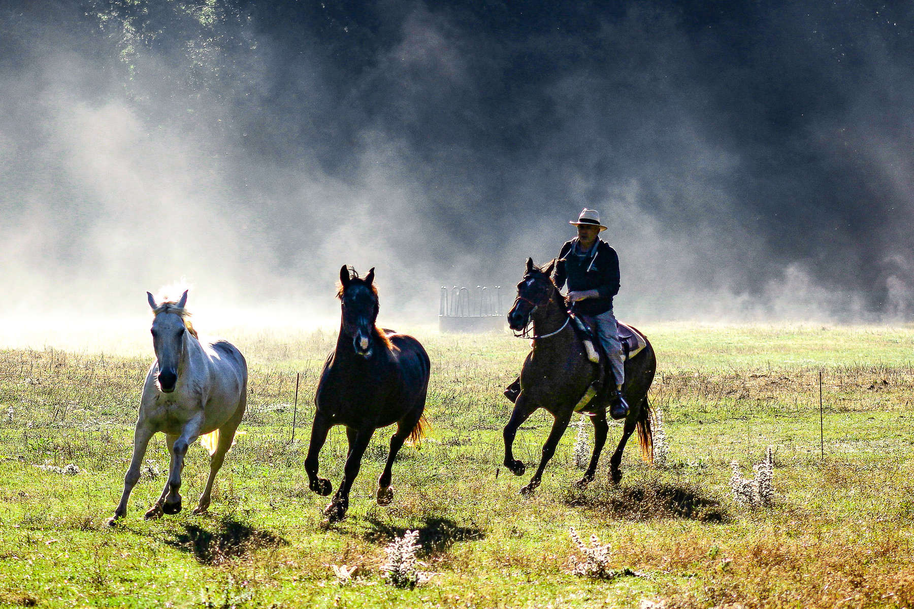 Horseback riding in Italy