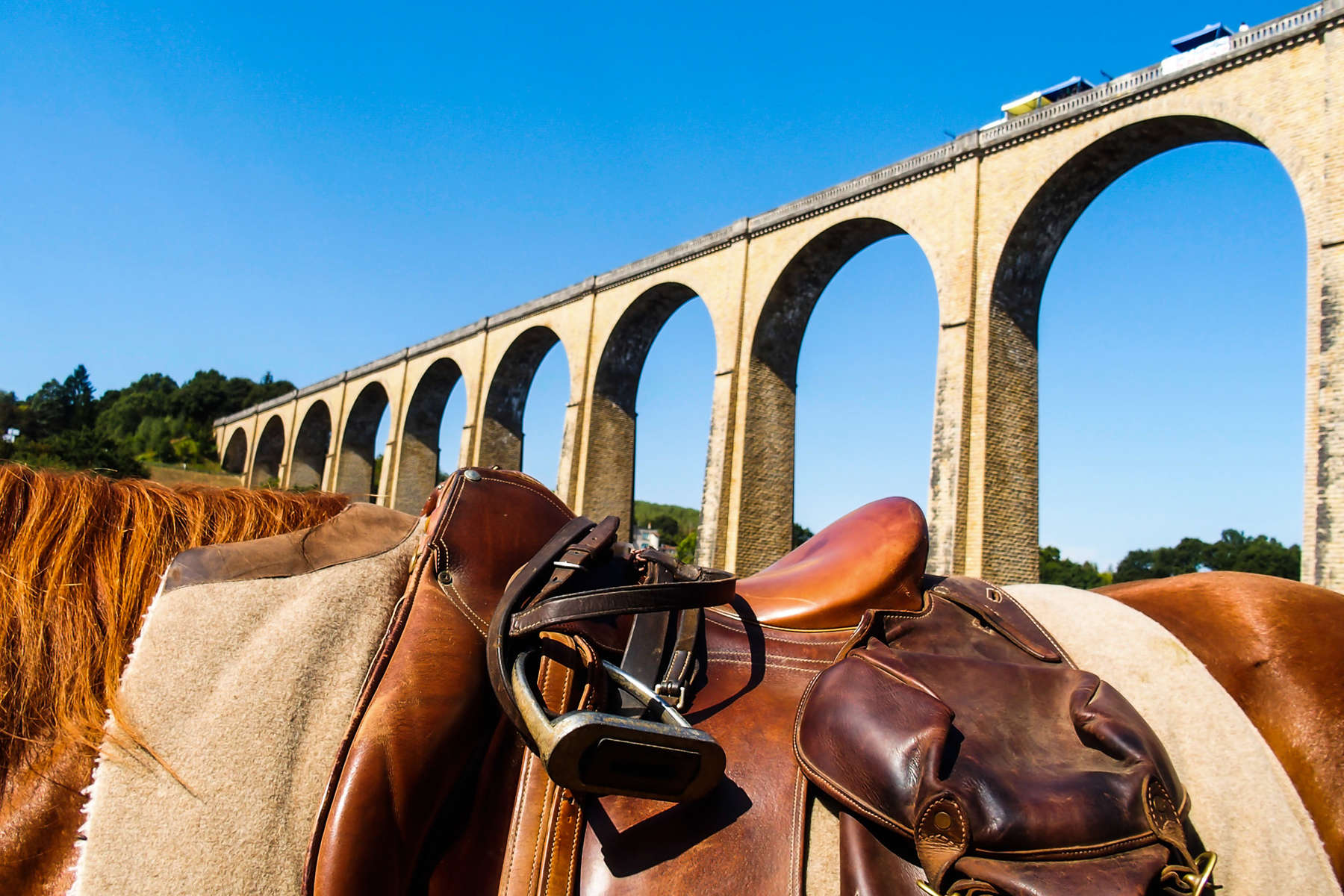 Horseback riding in the Poitou