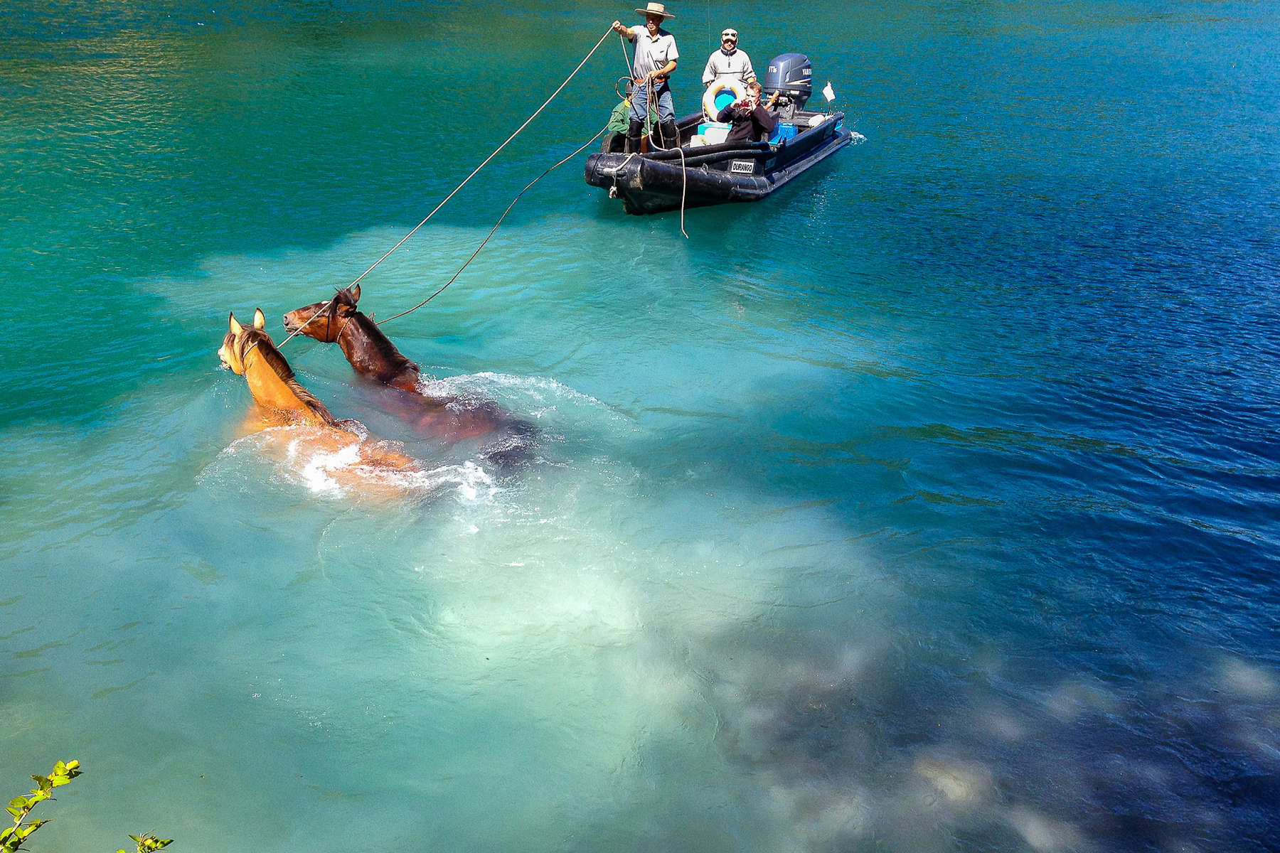 Horses crossing a river and gauchos on a boat