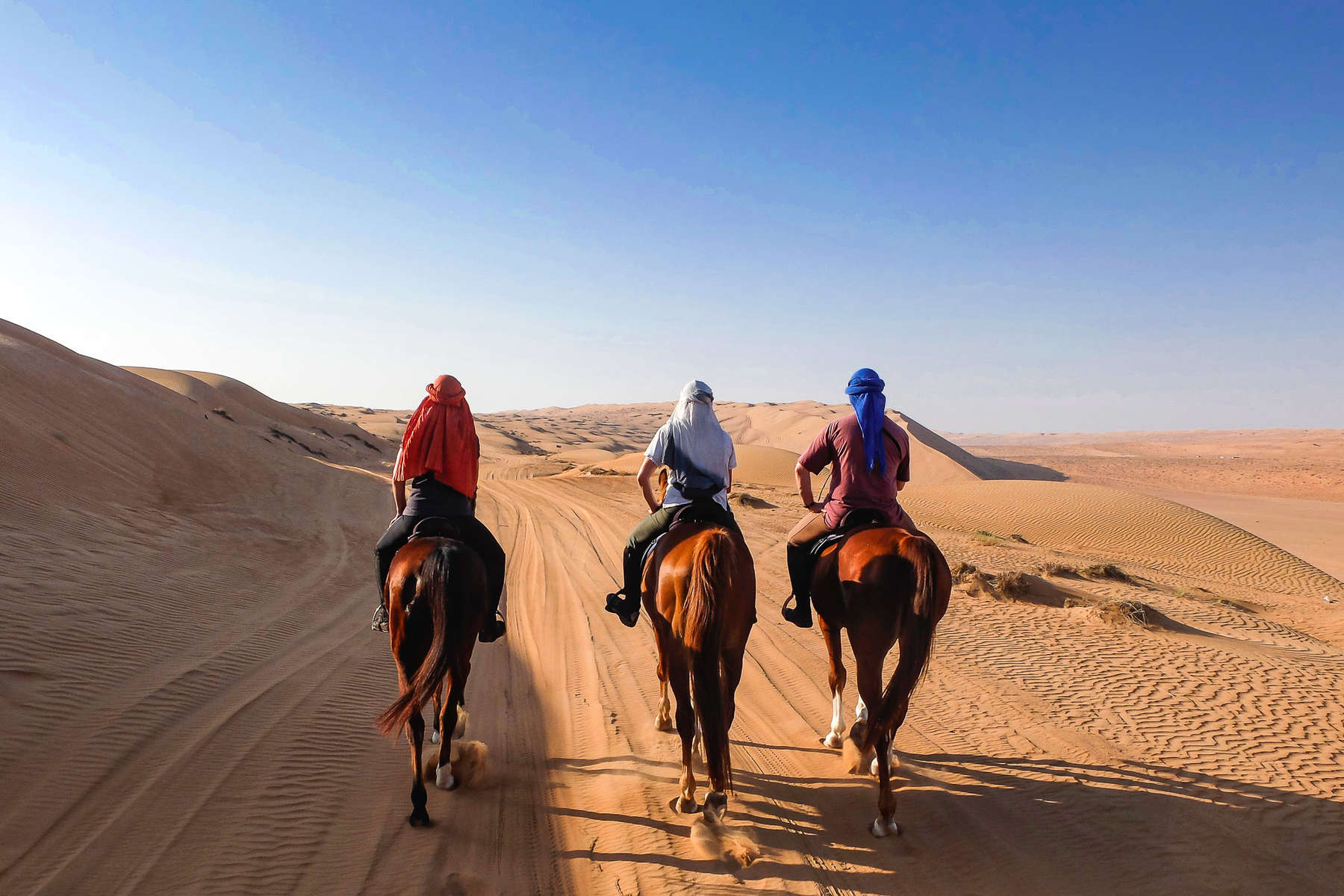Horses in sand dunes on a desert trail ride