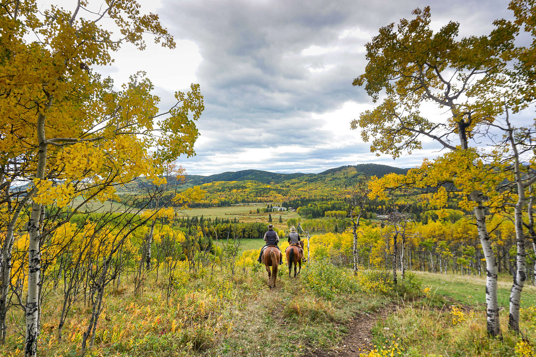 Indian summer colours on a pack trip holiday in Canada