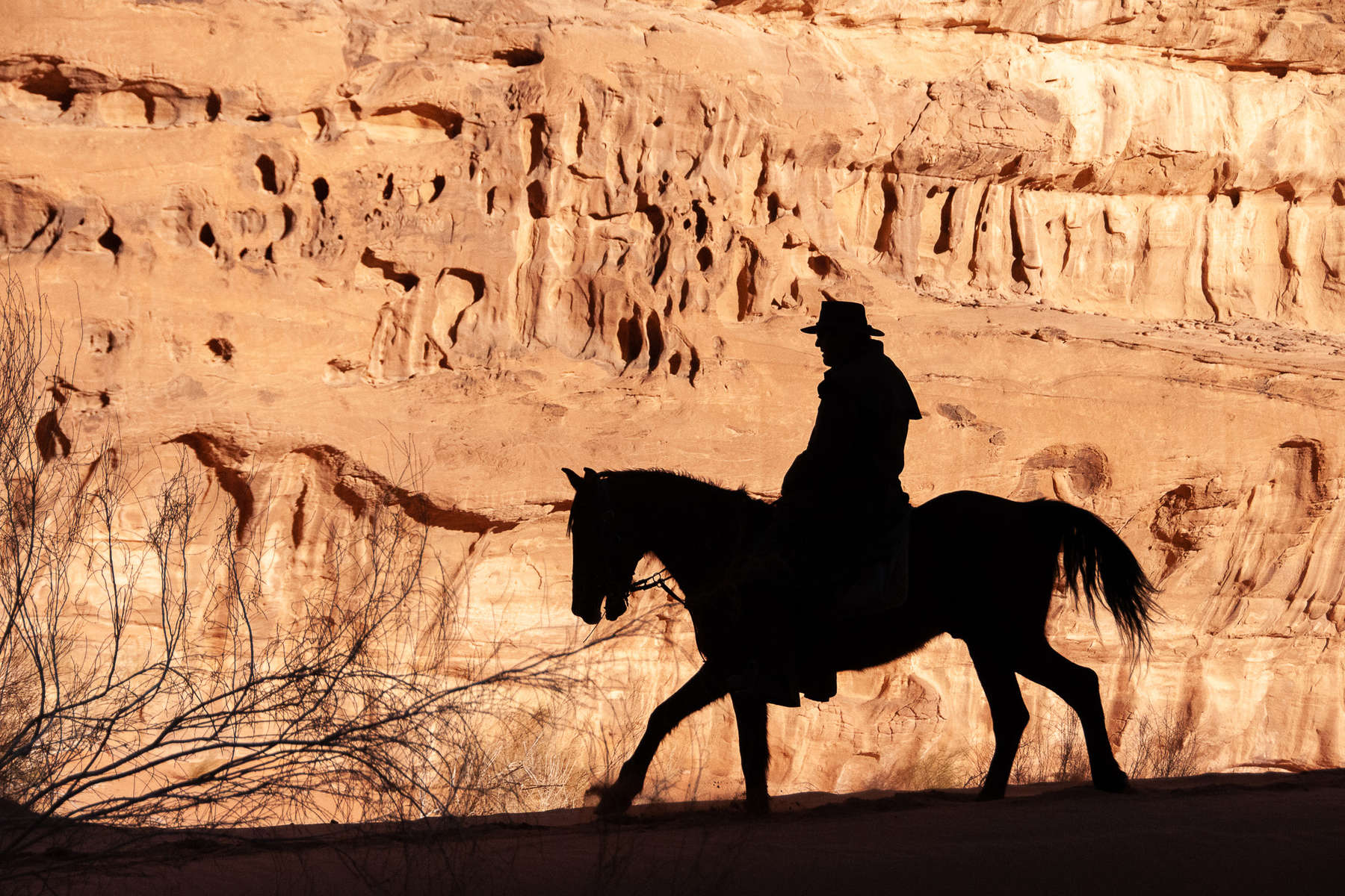 horse riding tours jordan