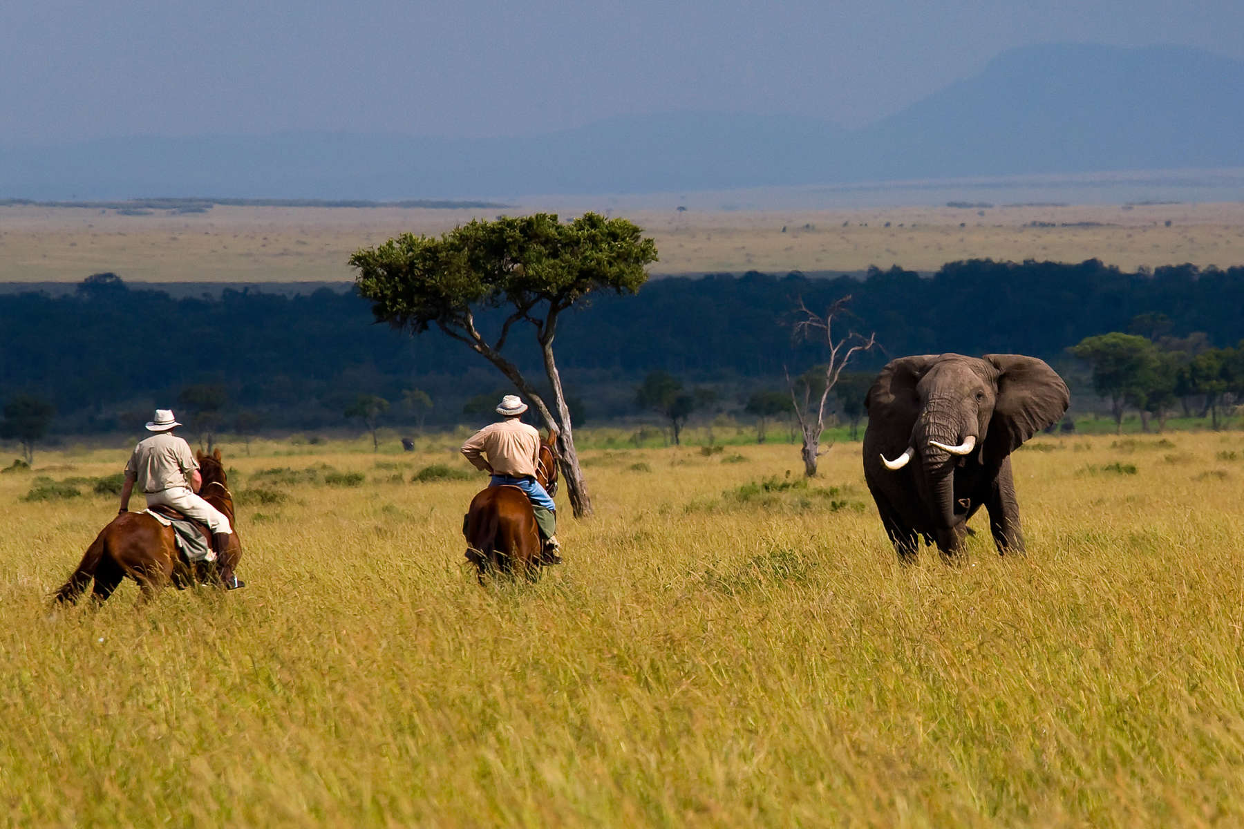 horse riding safari in kenya