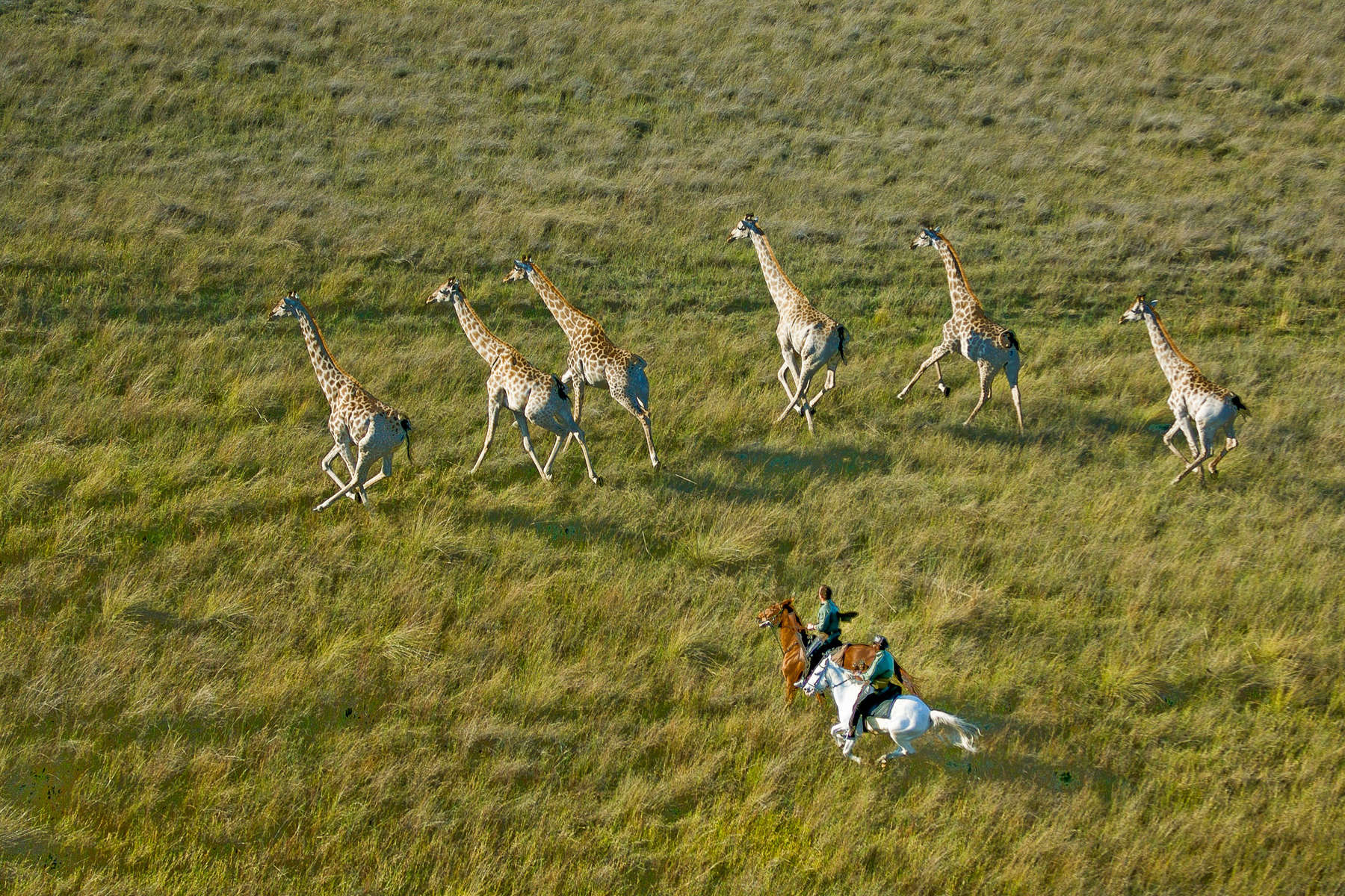 Macatoo camp, Okavango Delta safaris