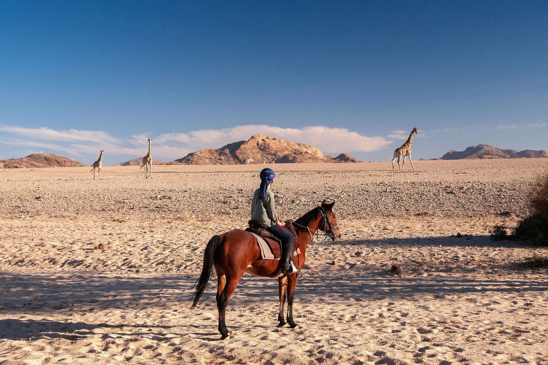 horse riding safari namibia