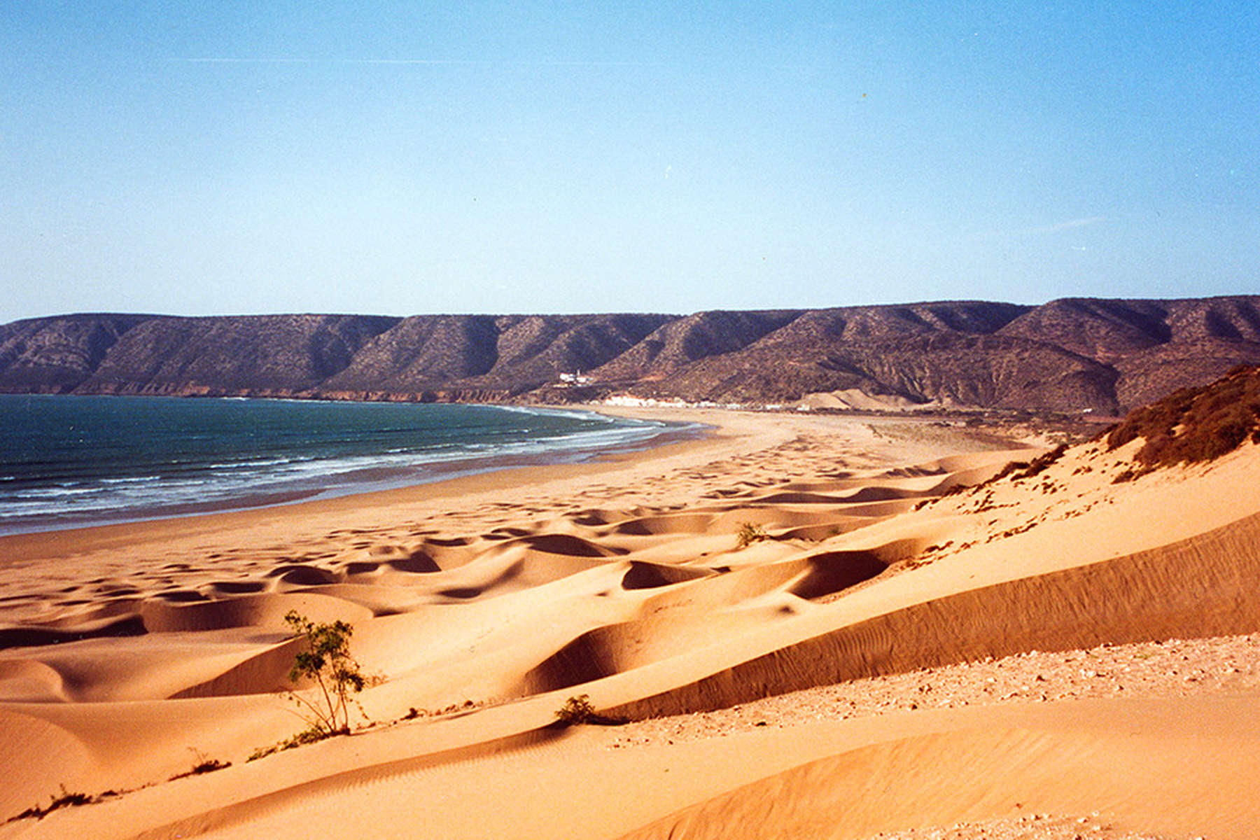 On horseback on the moroccan beaches