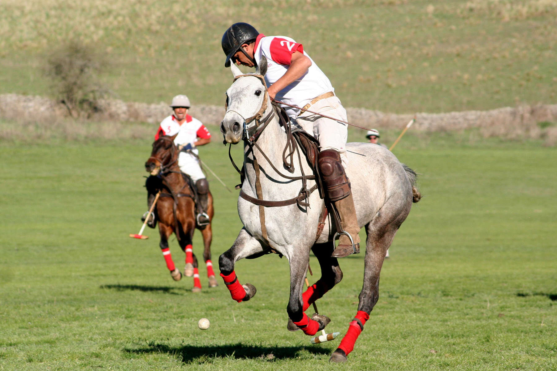 Polo player in Argentina, Los Potreros