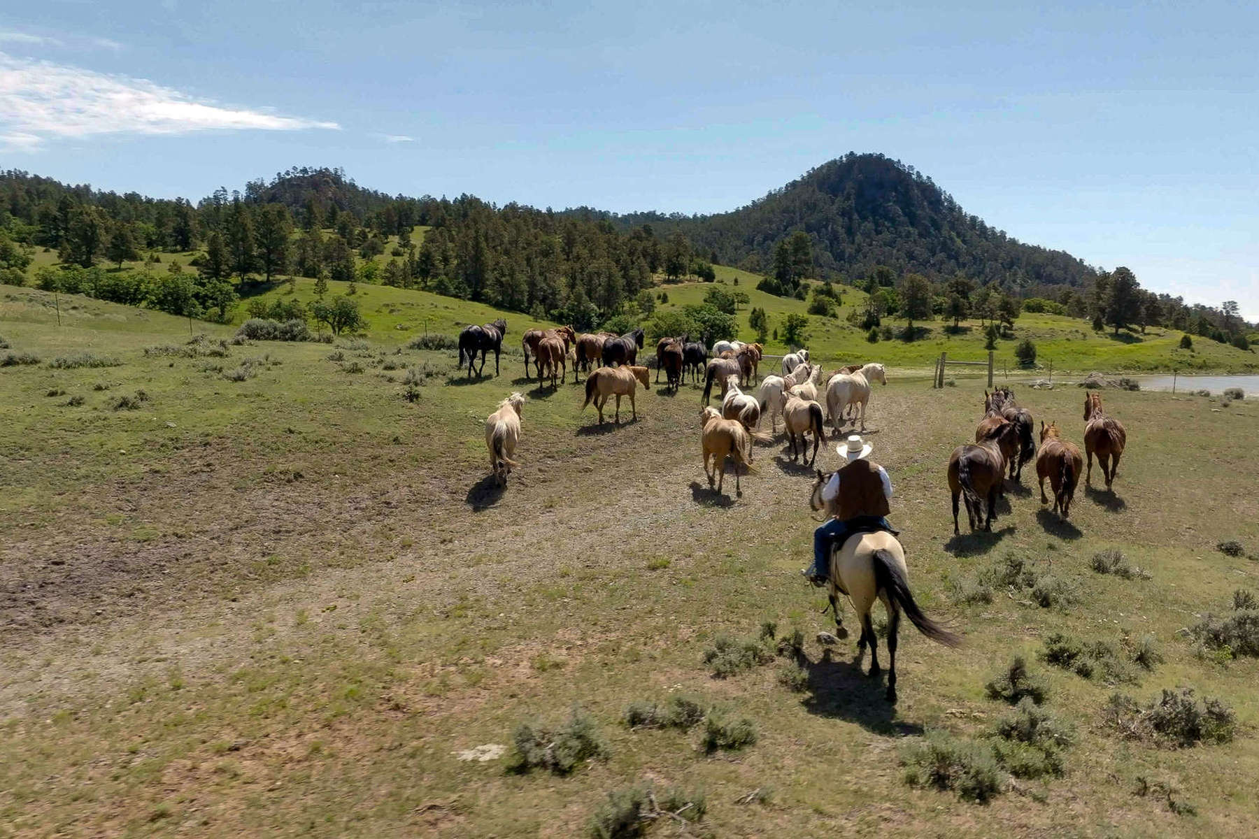 Ranch holiday in Wyoming