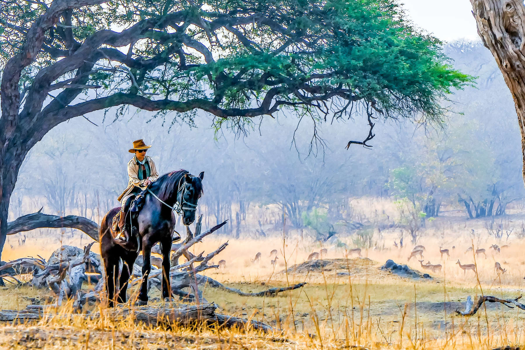 Rider and antelope in the background with early morning mists