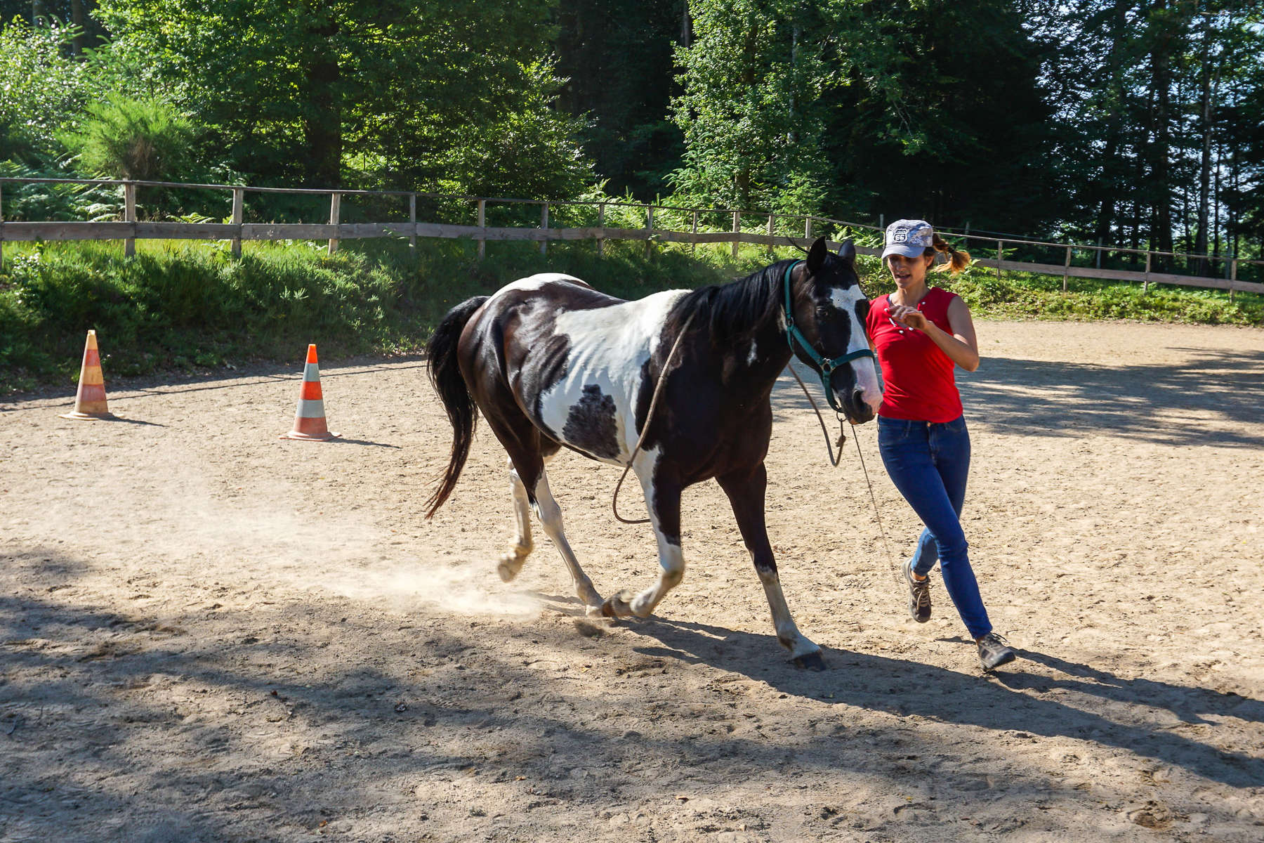 Rider and horse playing in an arena