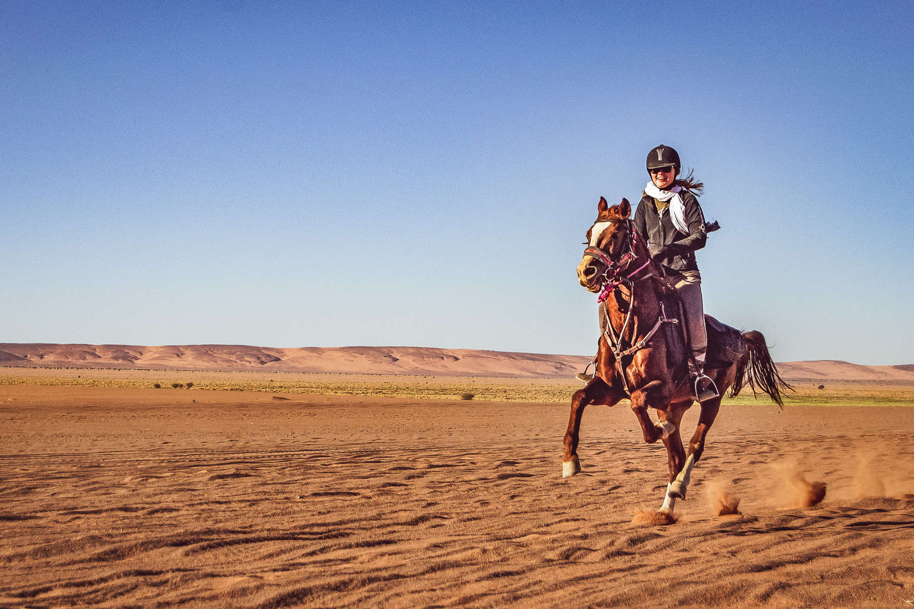 Rider enjoying a canter on an Arabian horse in Morocco
