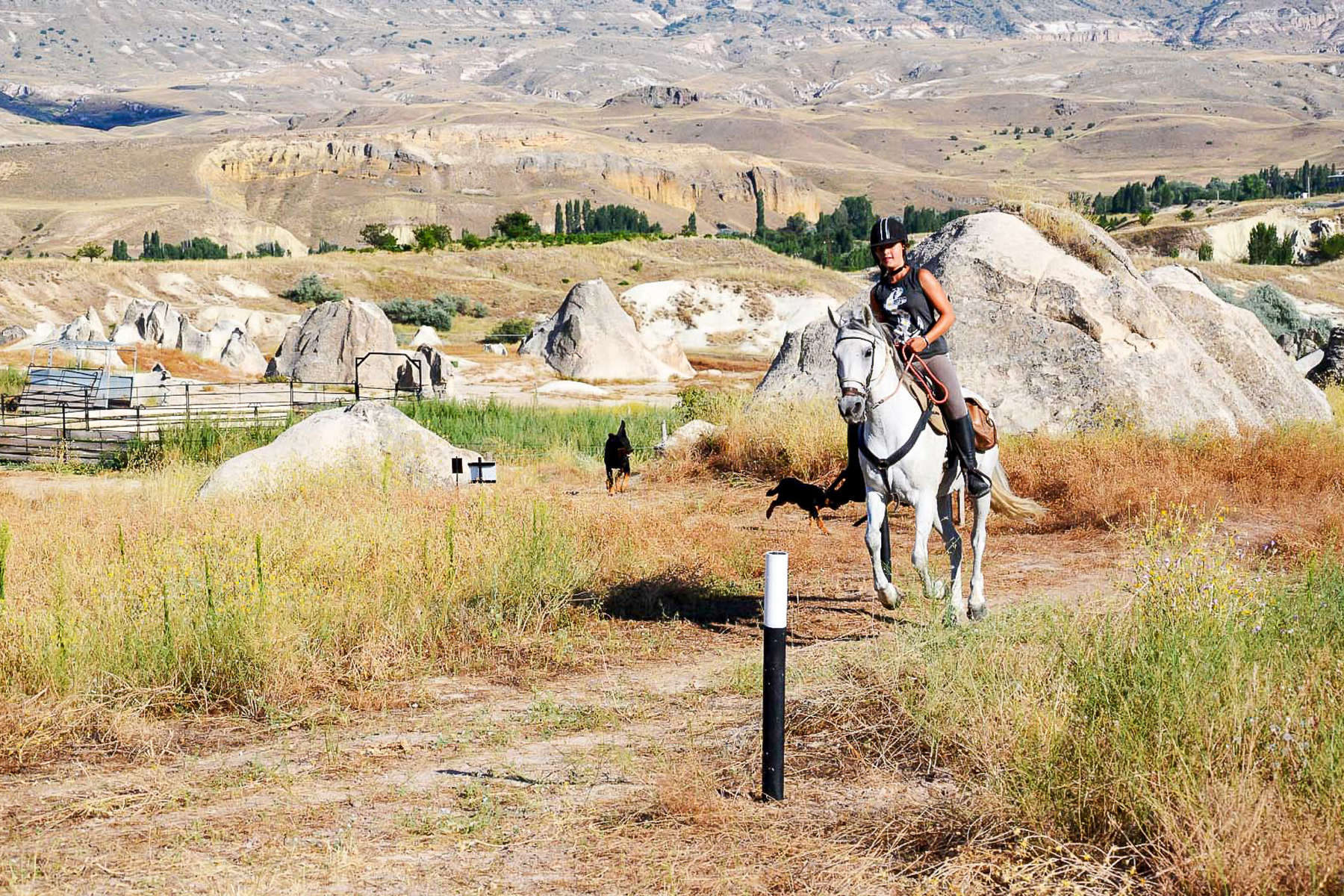 Rider going for a canter on horseback in Cappadocia