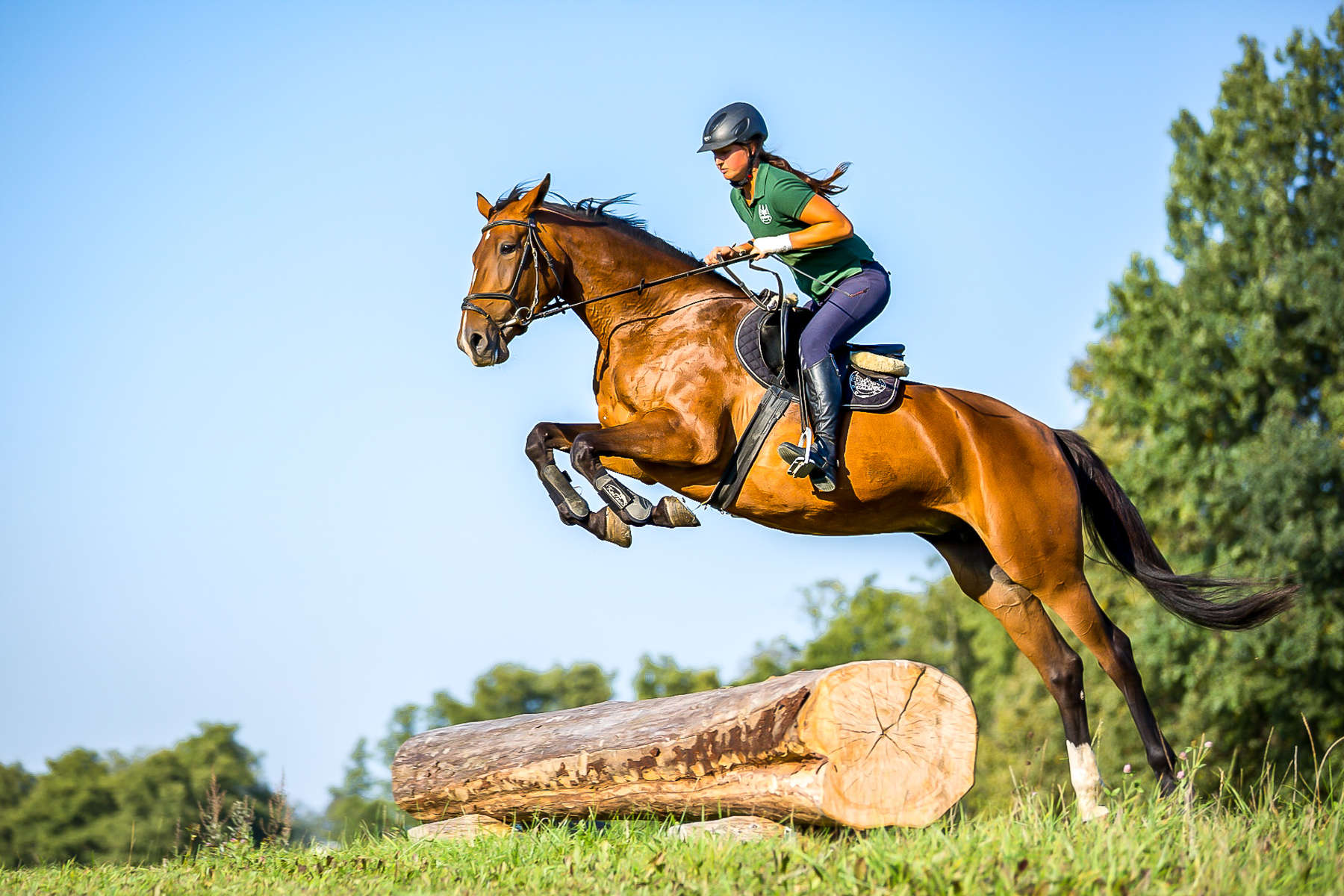 Rider jumping a log in a field in Poland