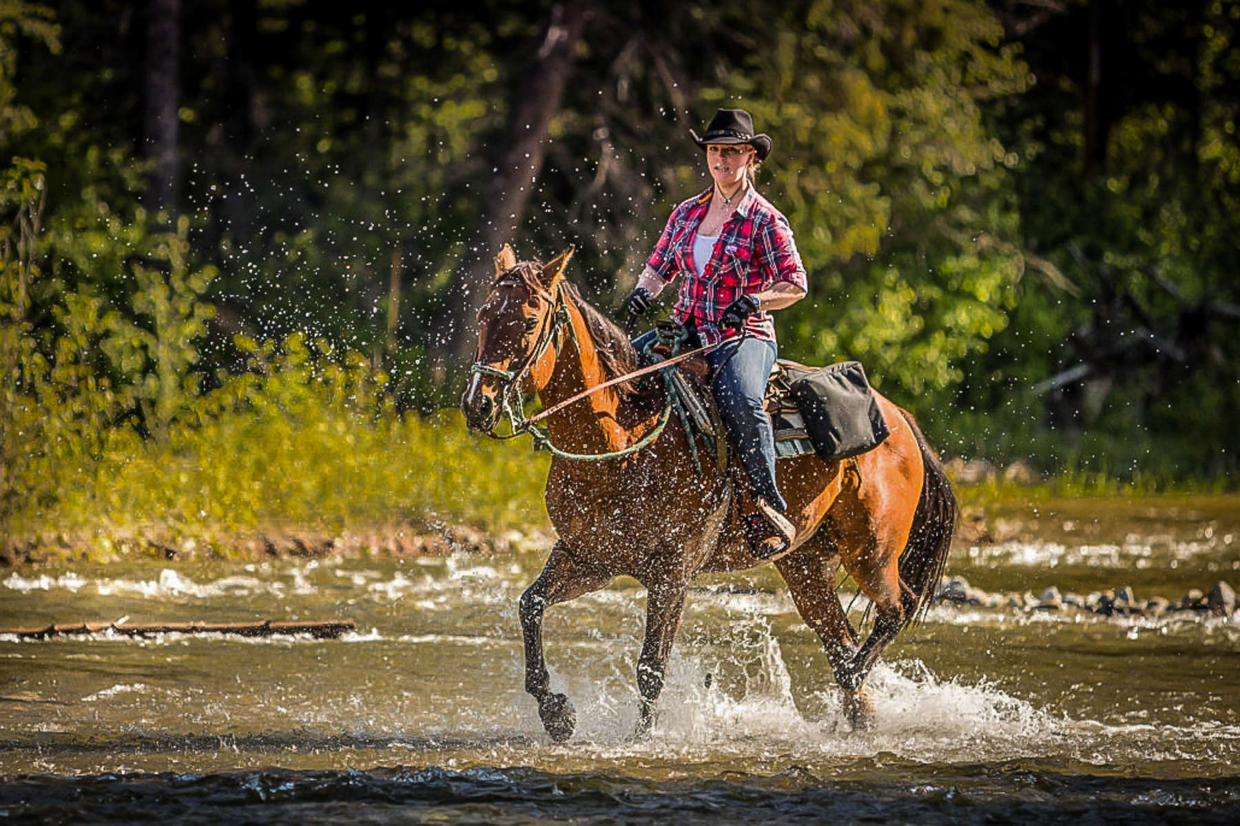 Rider riding in the river on a ranch holiday
