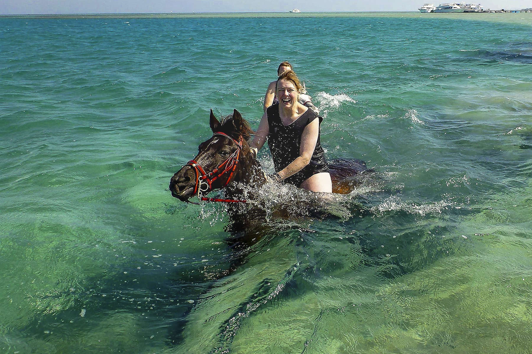 Rider swimming with her horse in Egypt