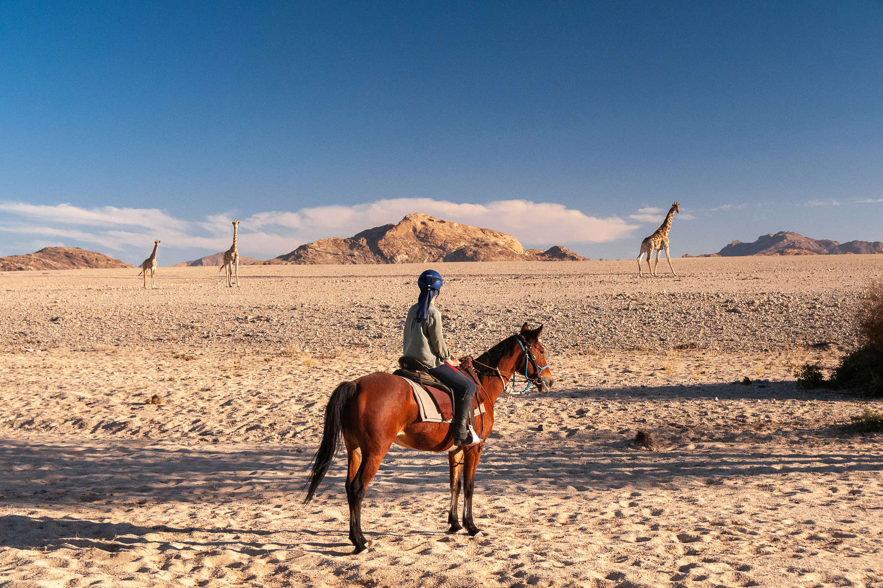 Rider watching giraffe in the Namib Desert
